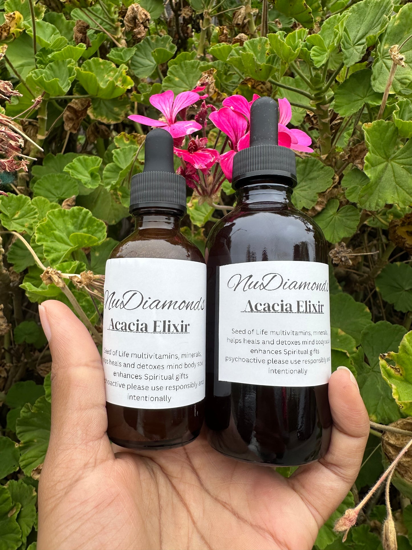 Acacia Elixir