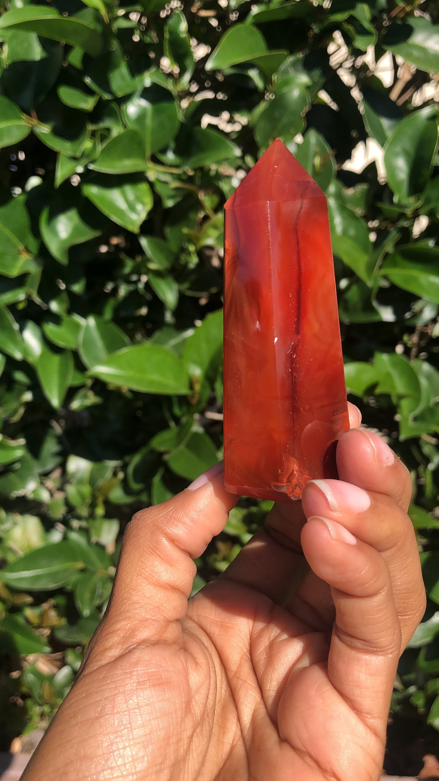 Carnelian Towers