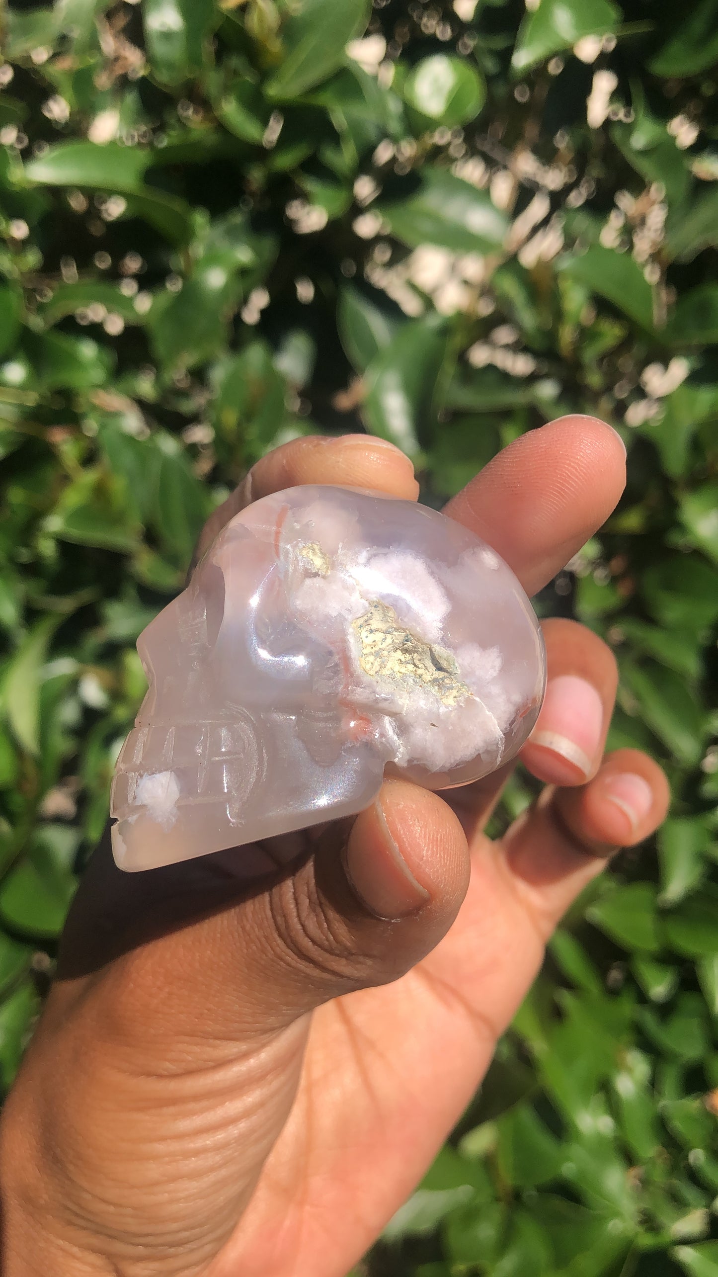 Flower Agate Skull