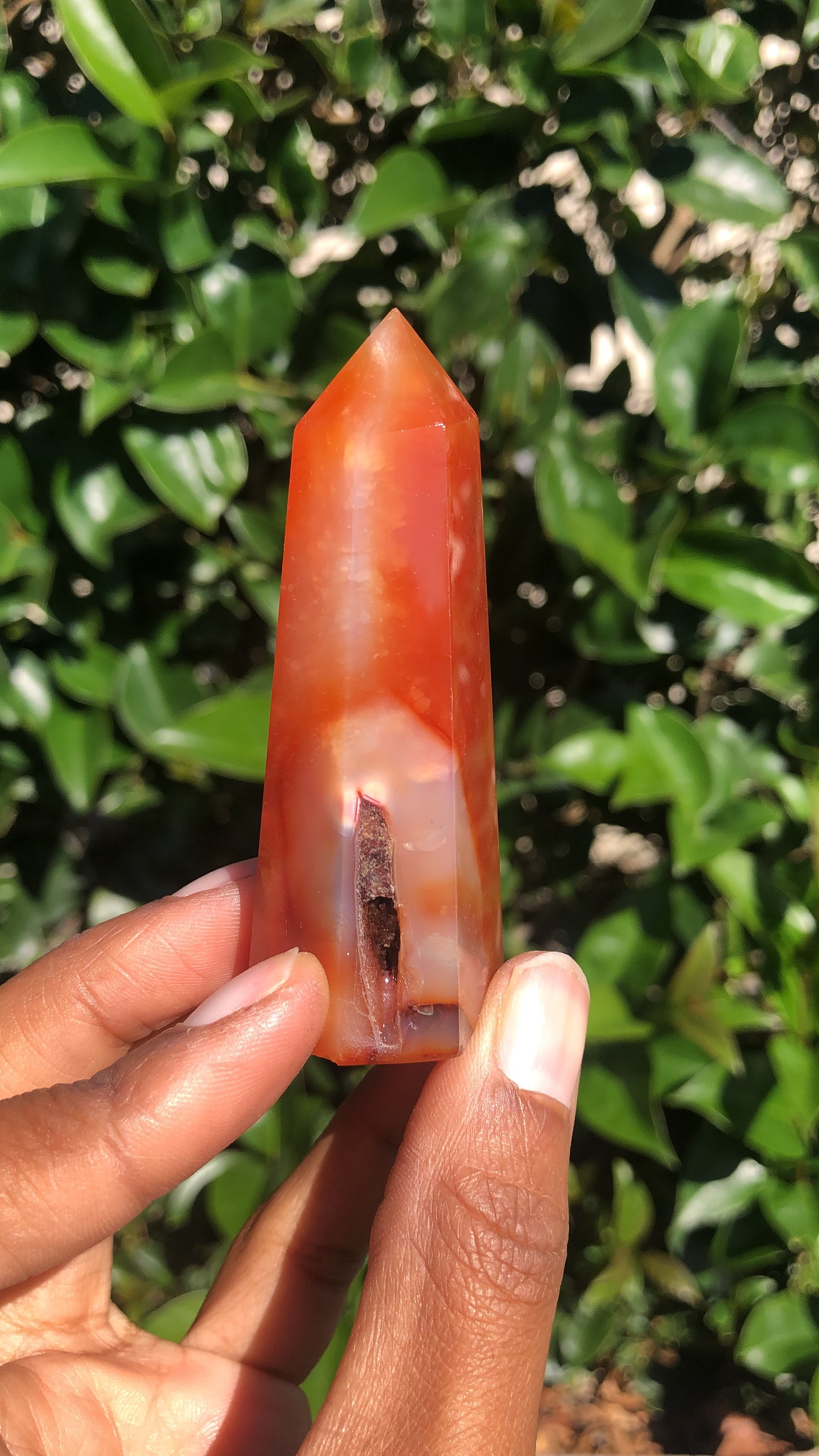 Carnelian Towers