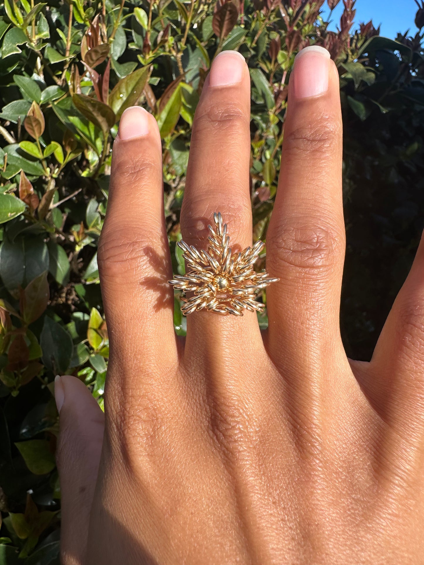 Highness Ring