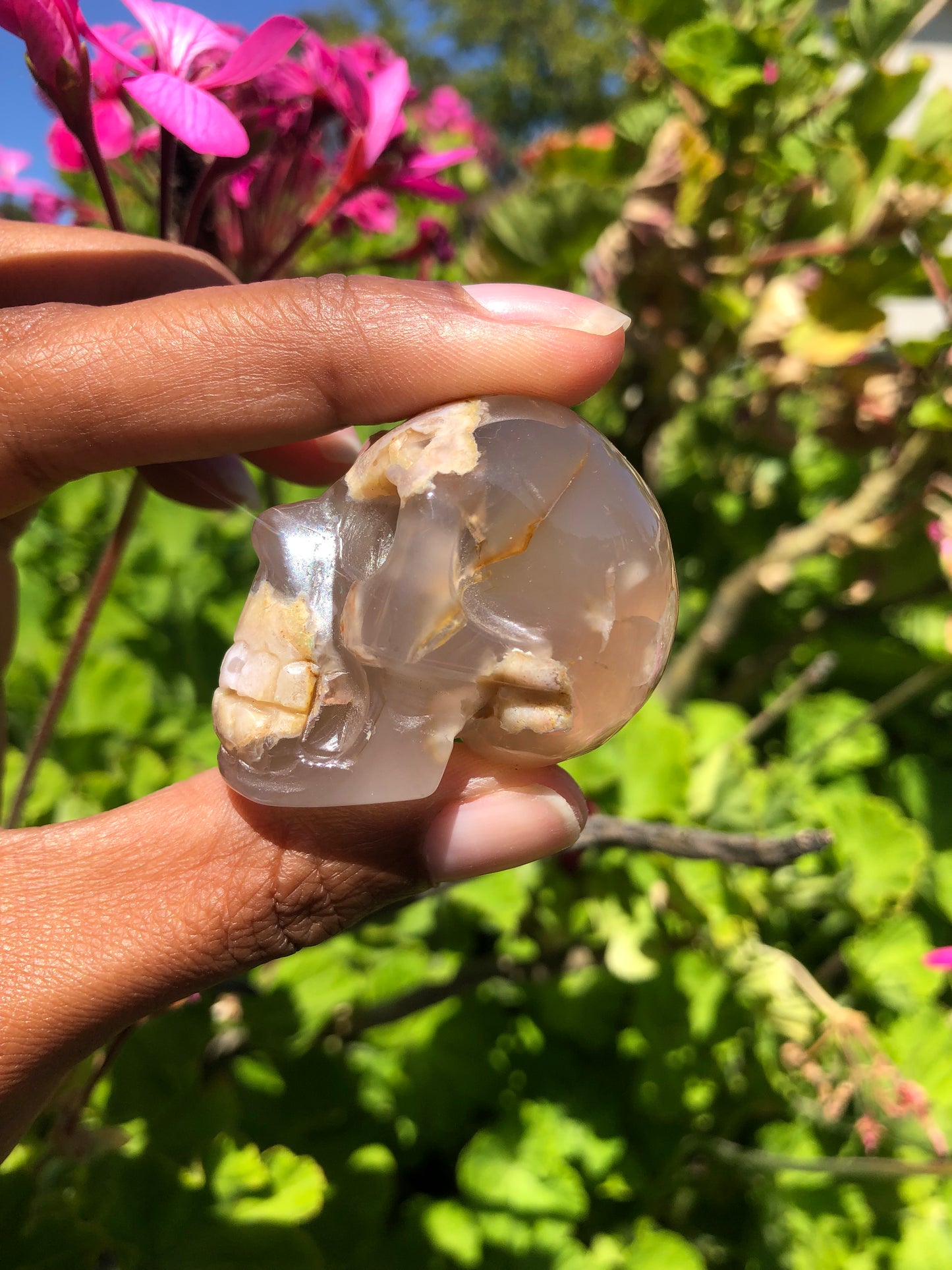 Flower Agate Skull