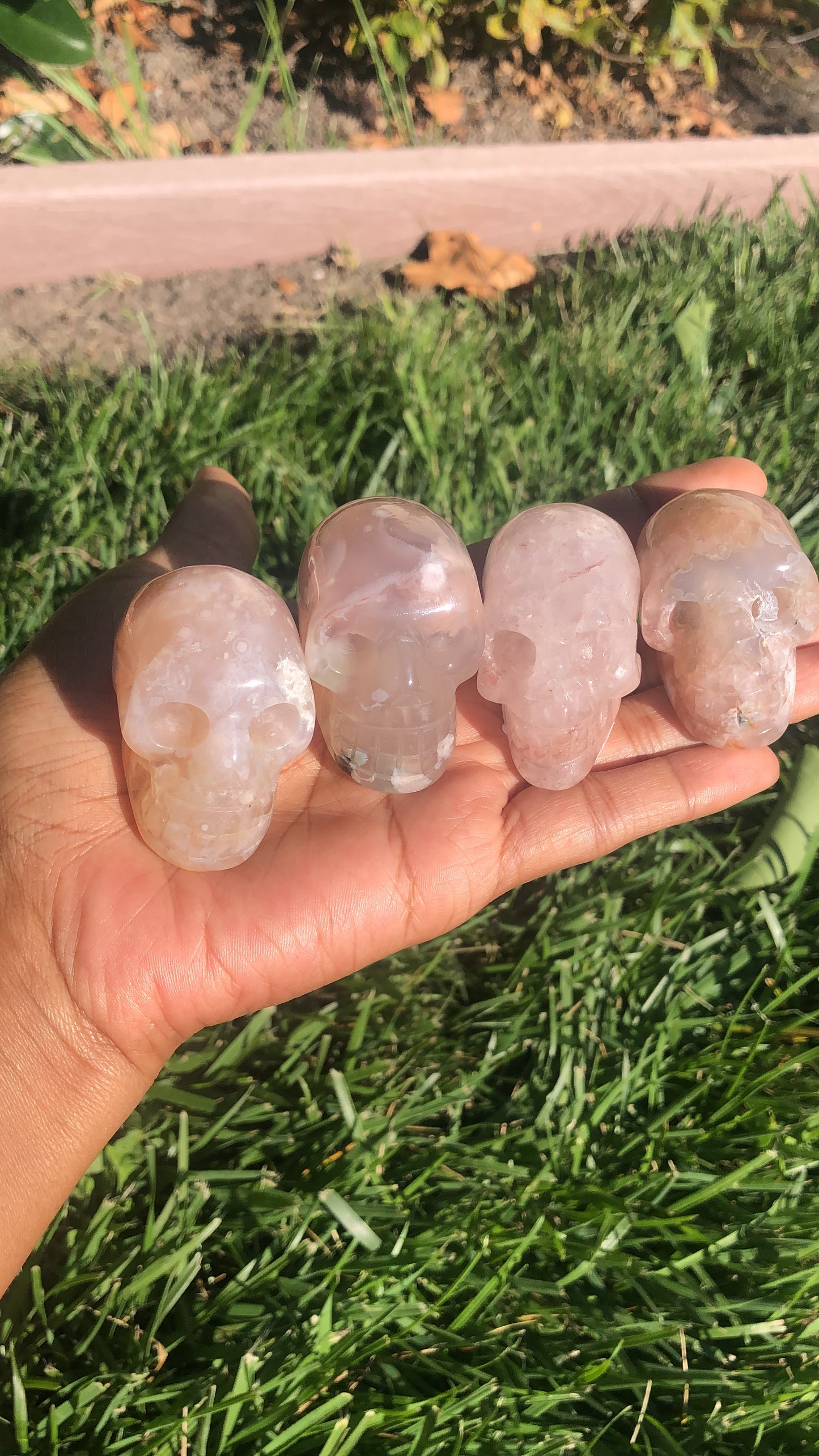 Flower Agate Skull