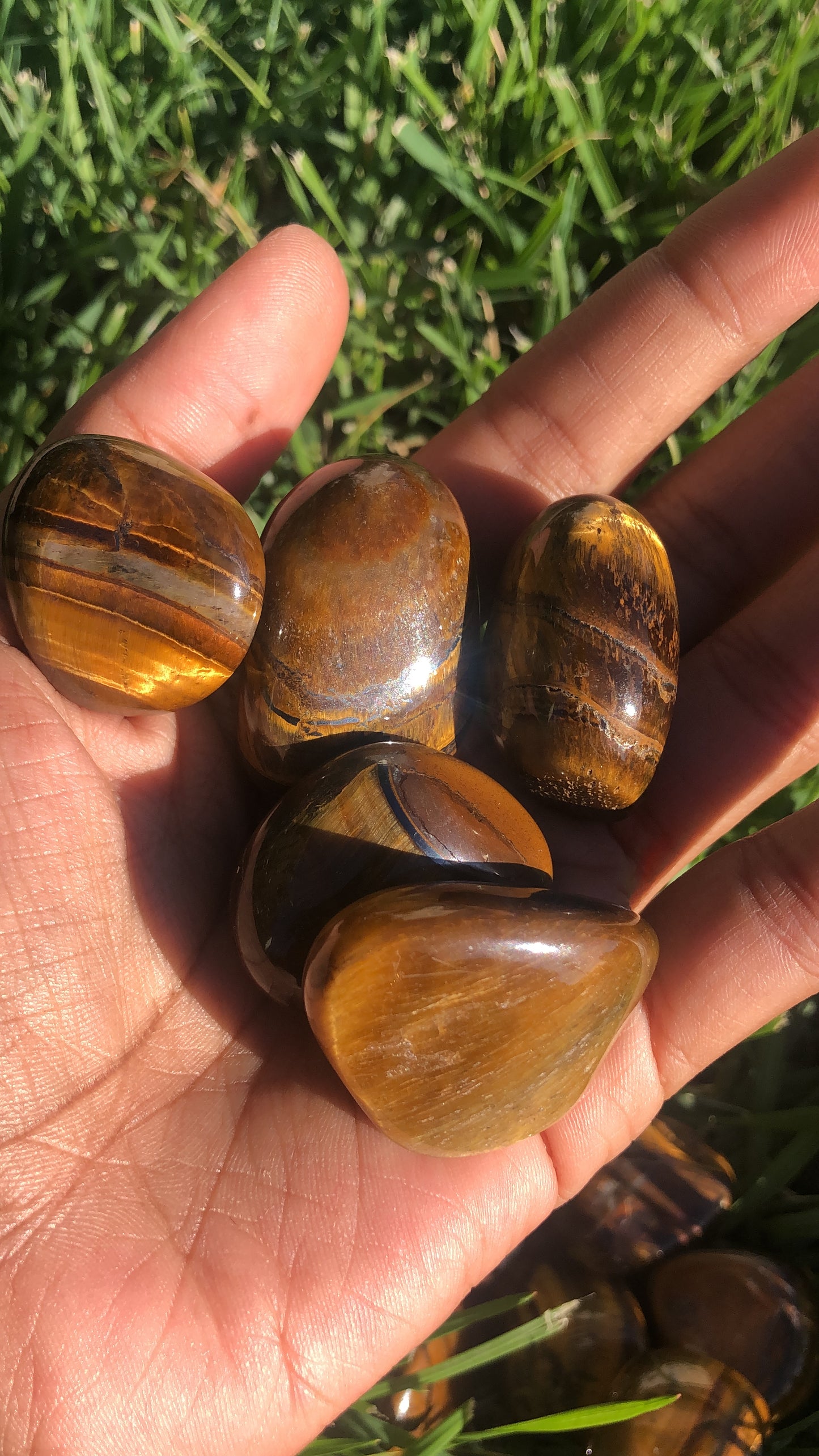 Tigers Eye Tumble