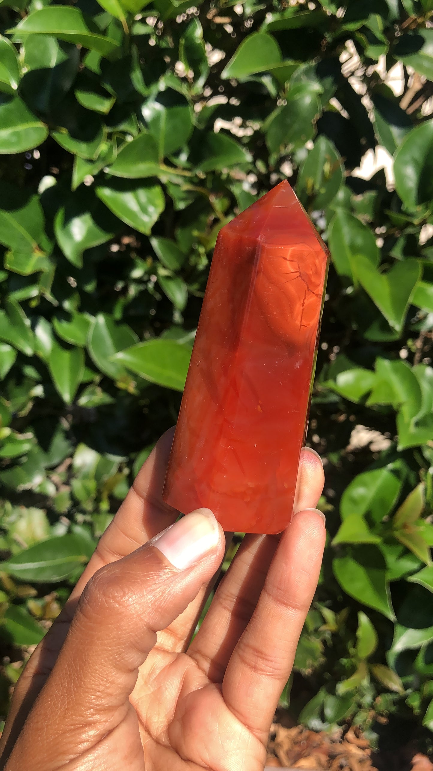 Carnelian Towers