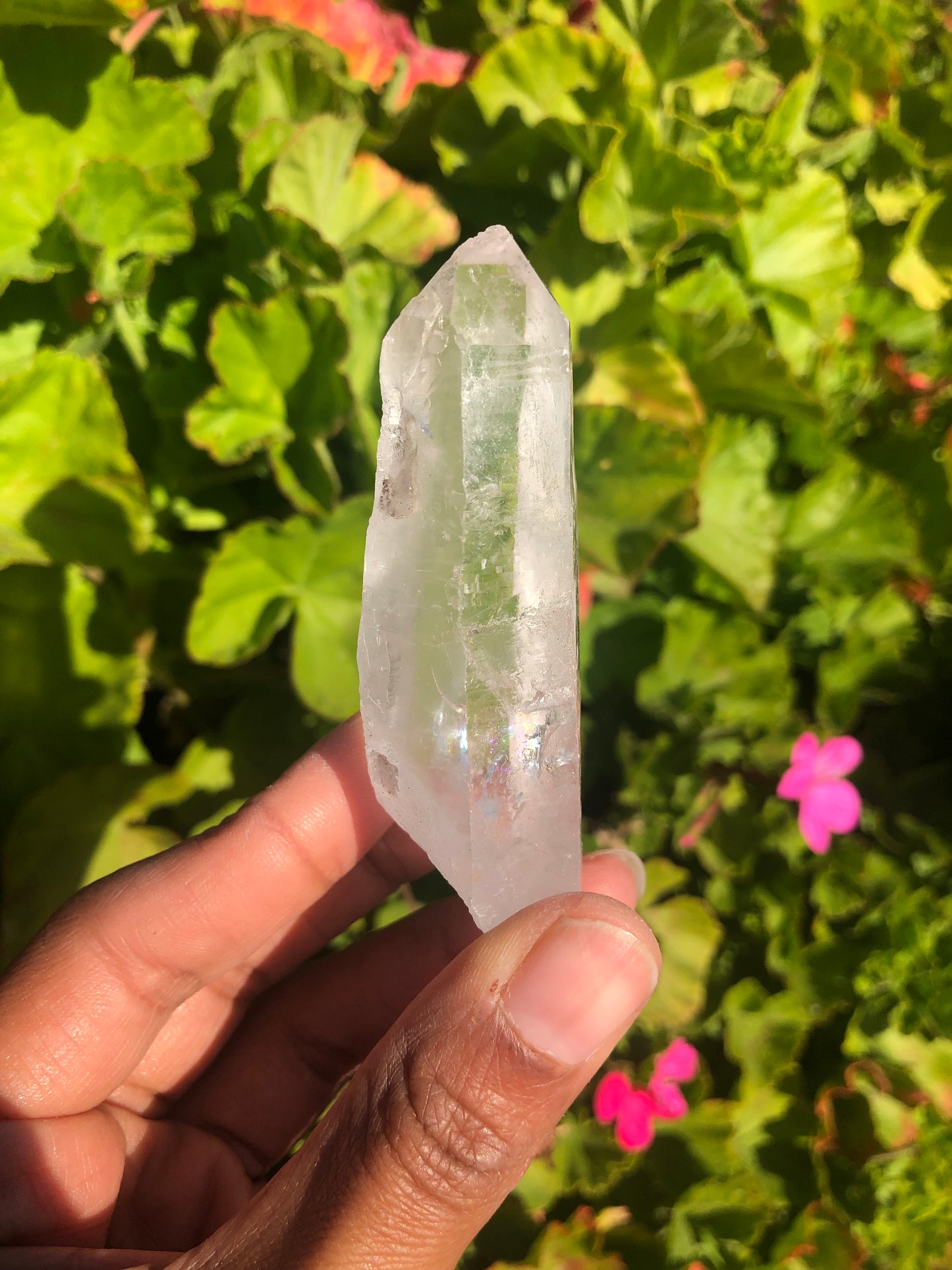 Lemurian Quartz