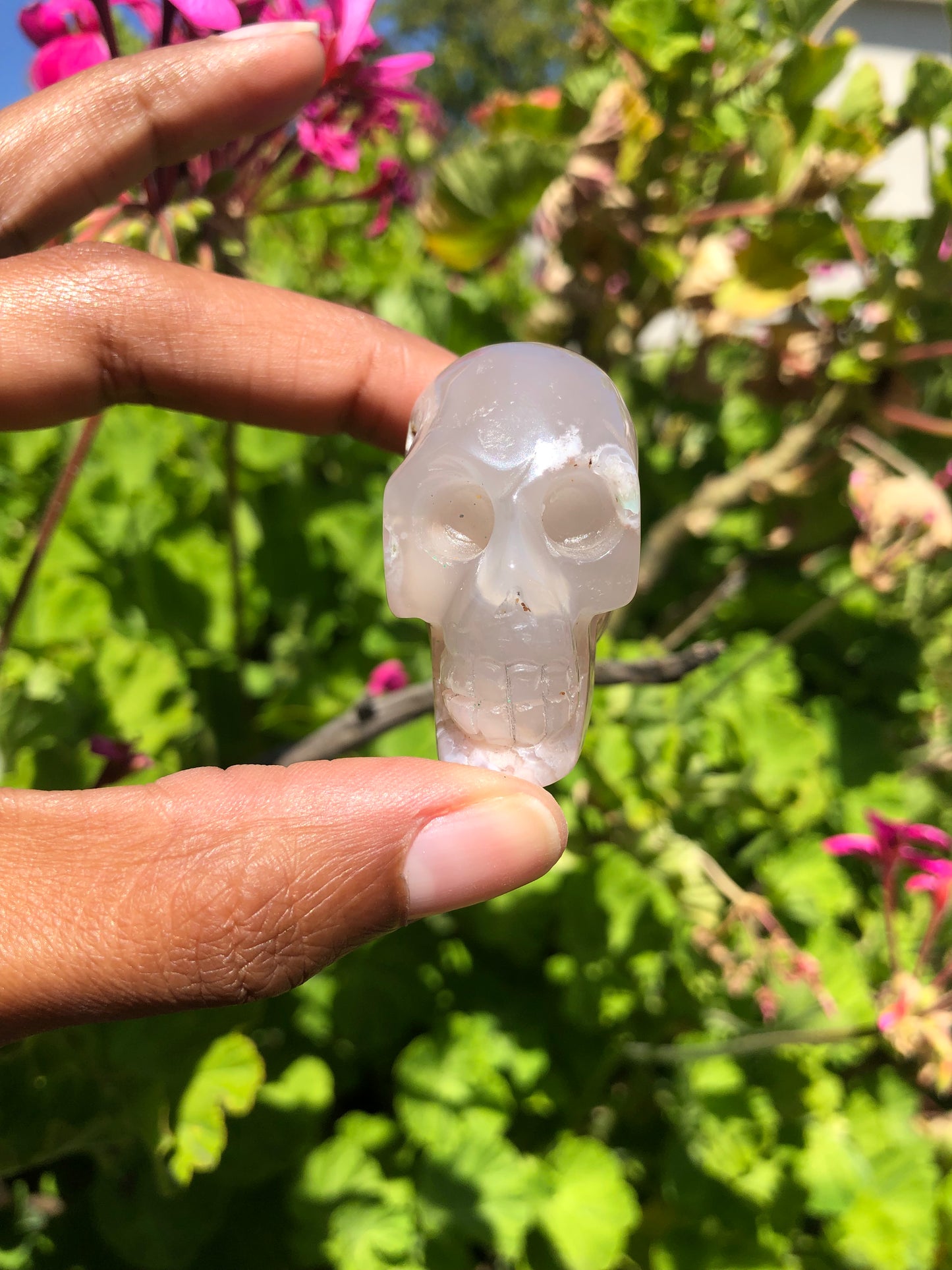 Flower Agate Skull