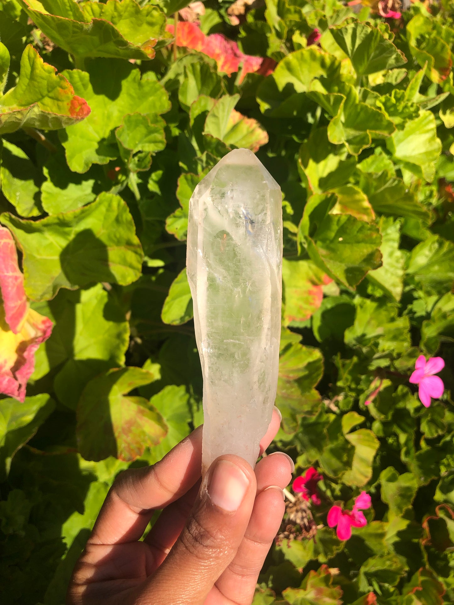 Lemurian Quartz