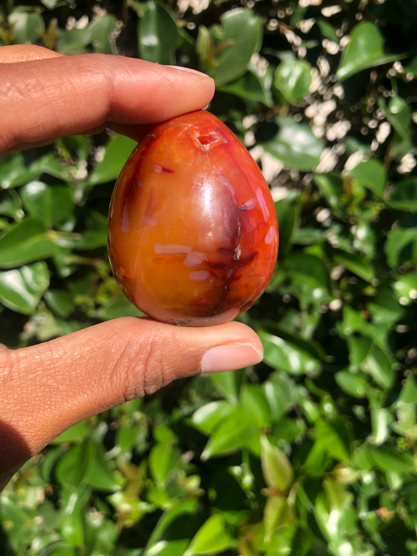 Carnelian Egg