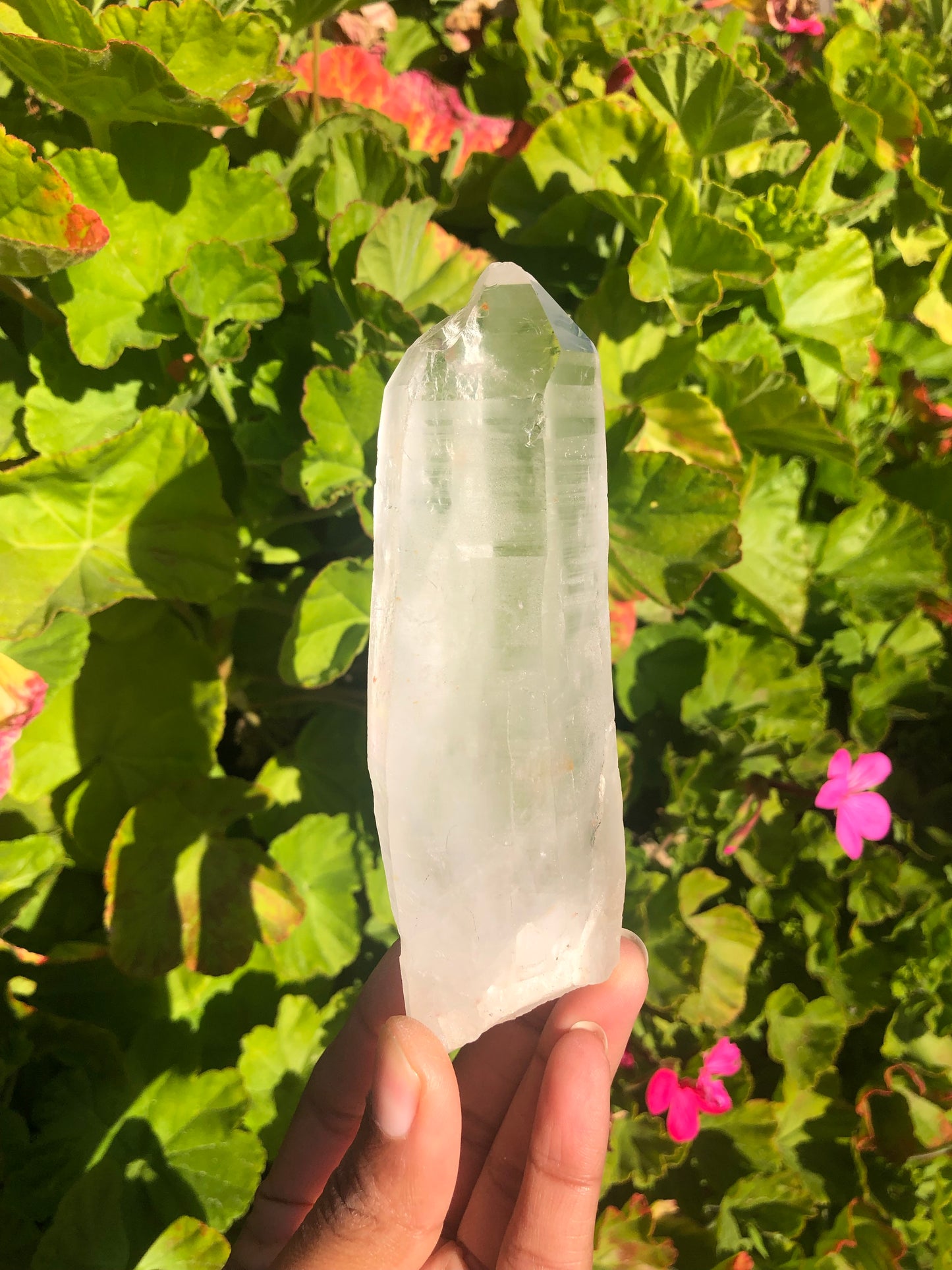 Lemurian Quartz