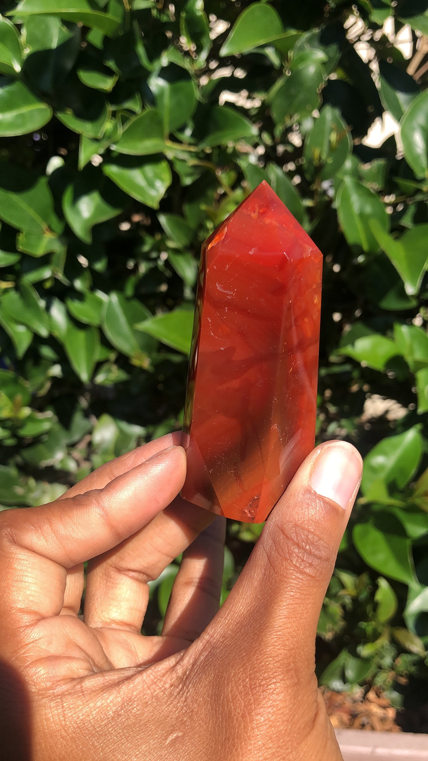 Carnelian Towers
