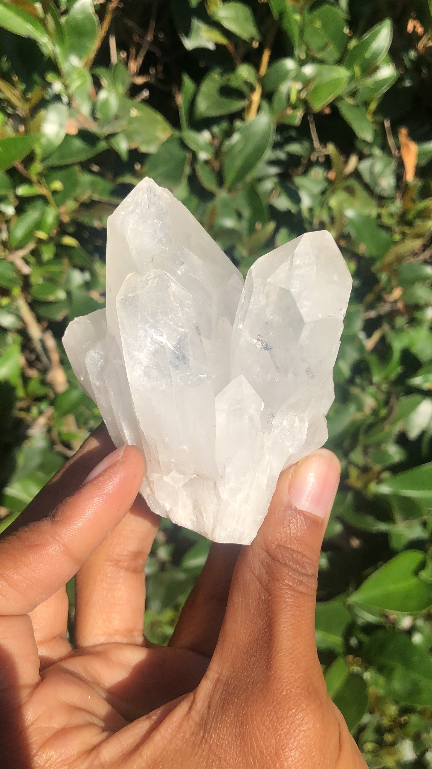 Quartz Cluster