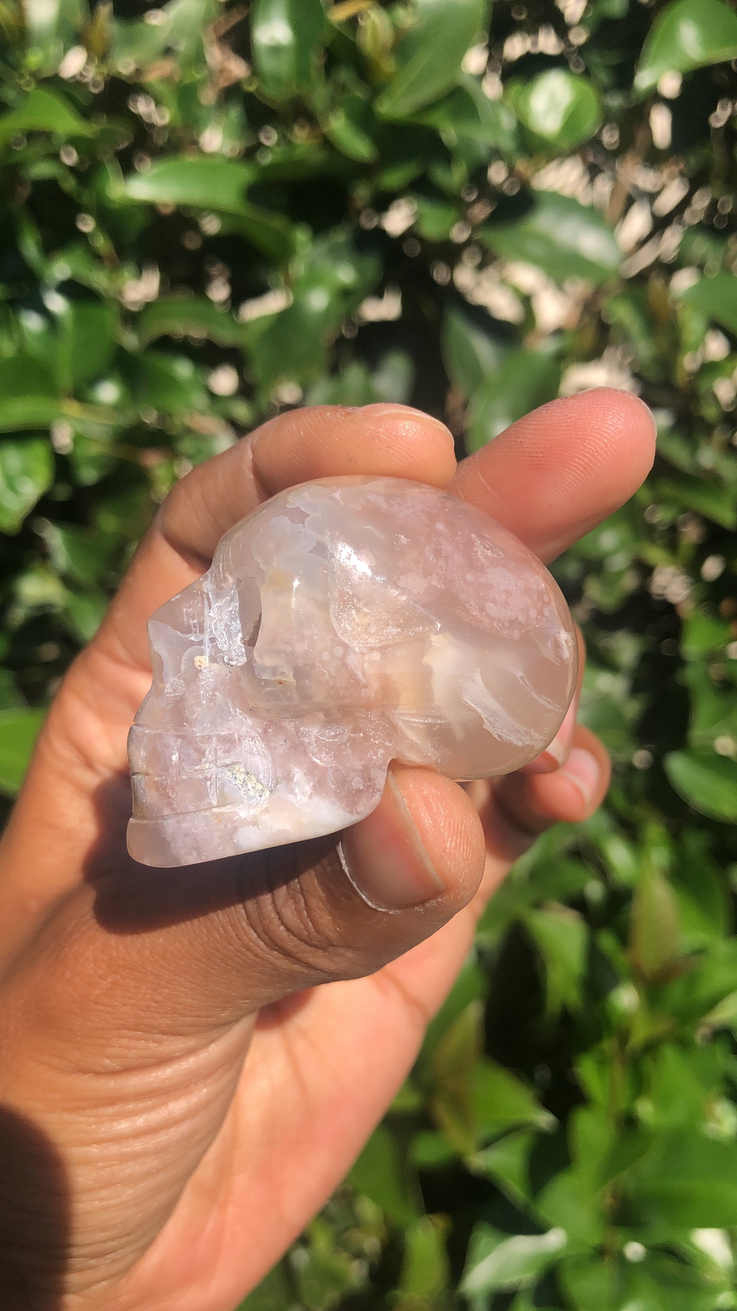 Flower Agate Skull