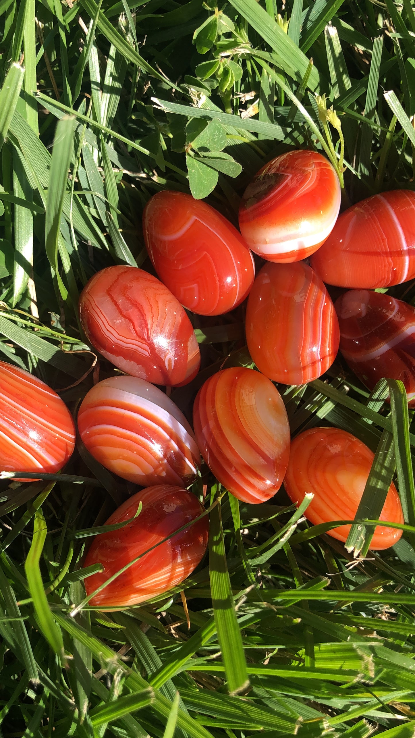 Mini Carnelian Eggs