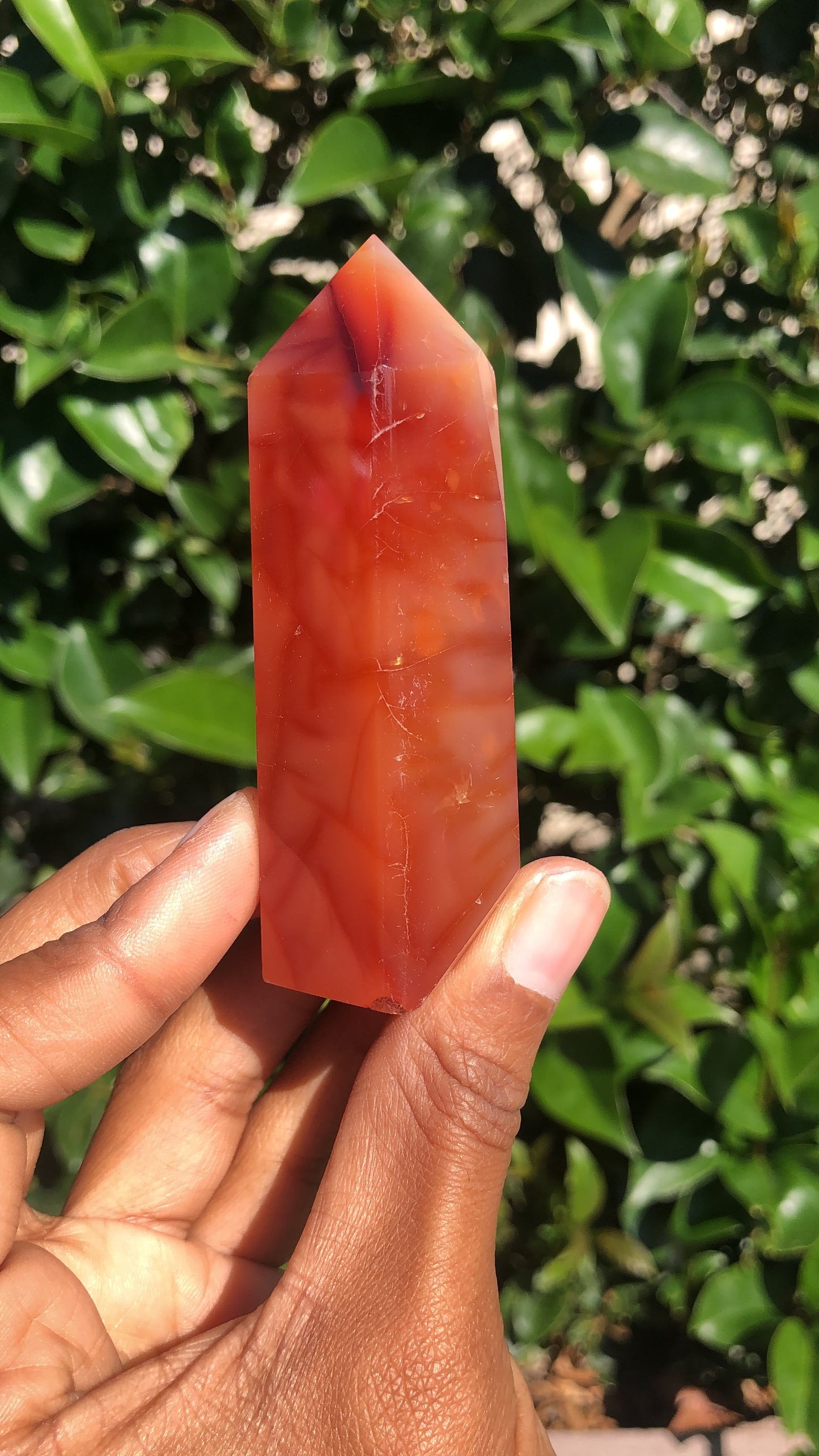 Carnelian Towers