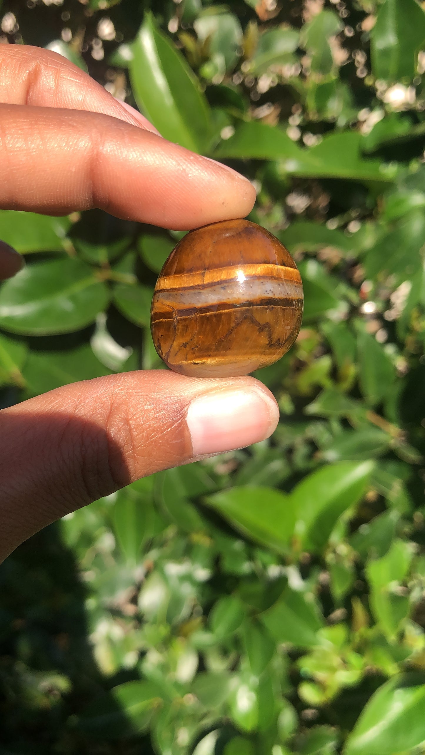 Tigers Eye Tumble