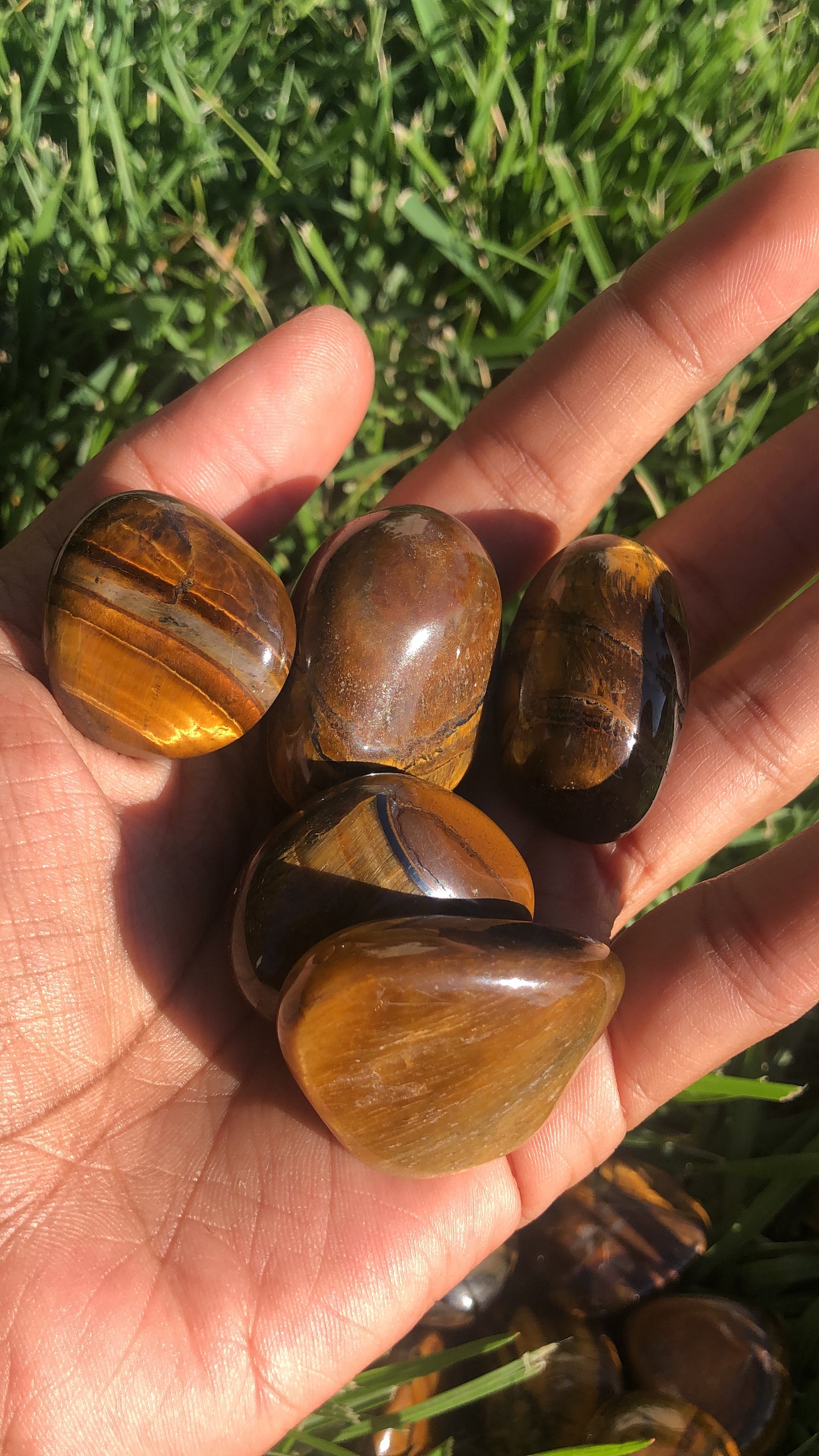 Tigers Eye Tumble