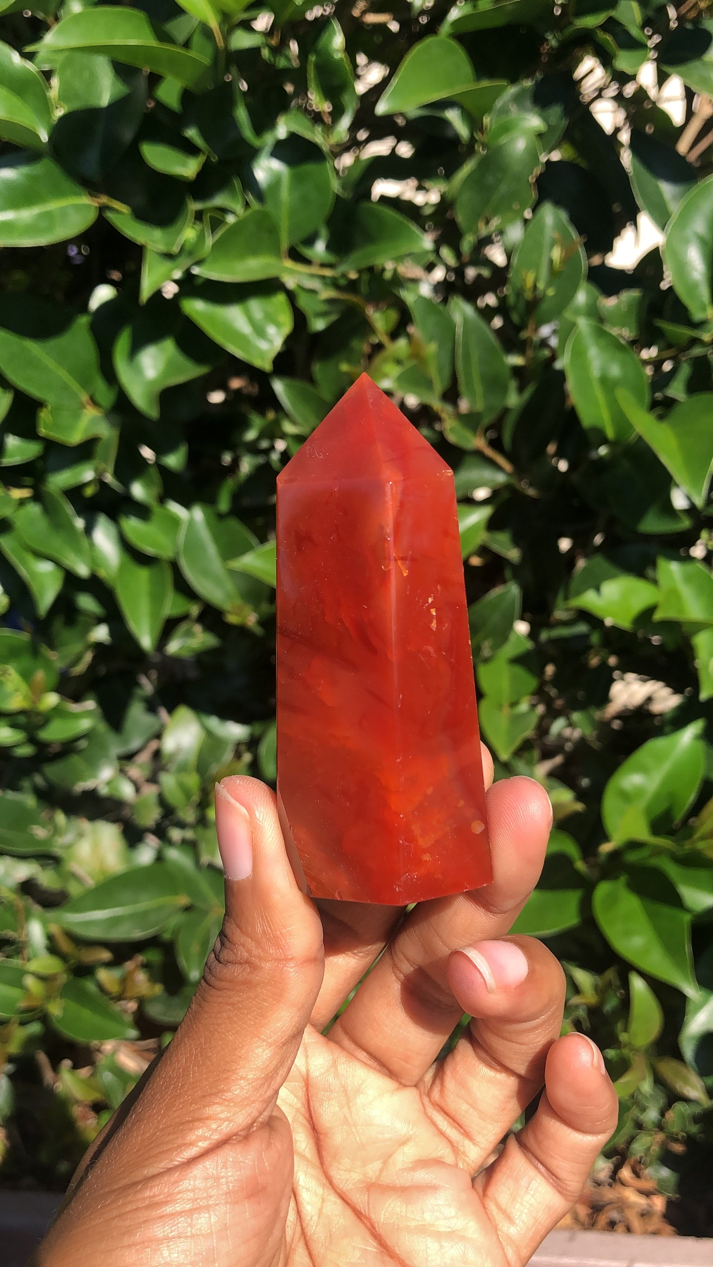 Carnelian Towers
