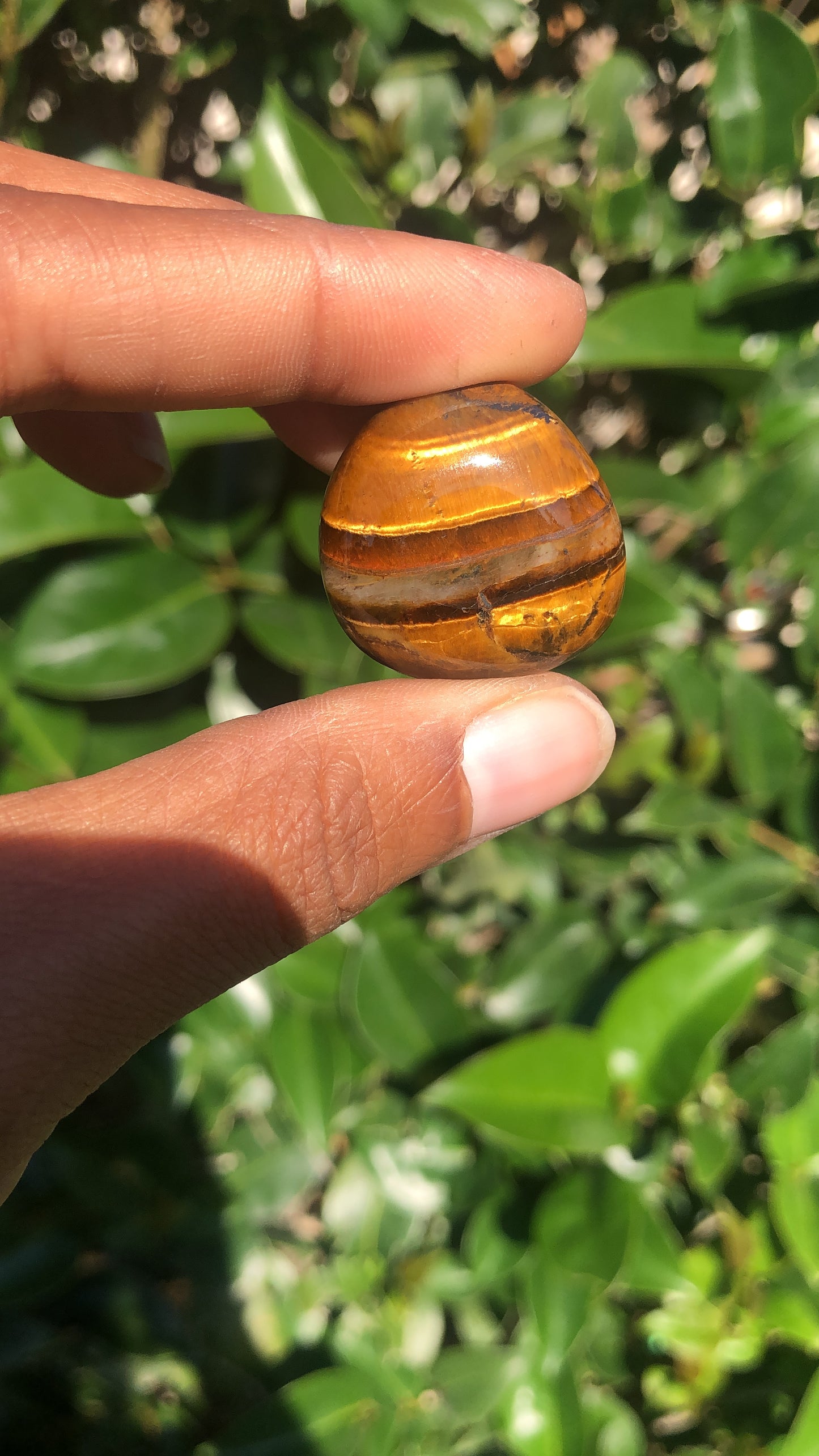 Tigers Eye Tumble