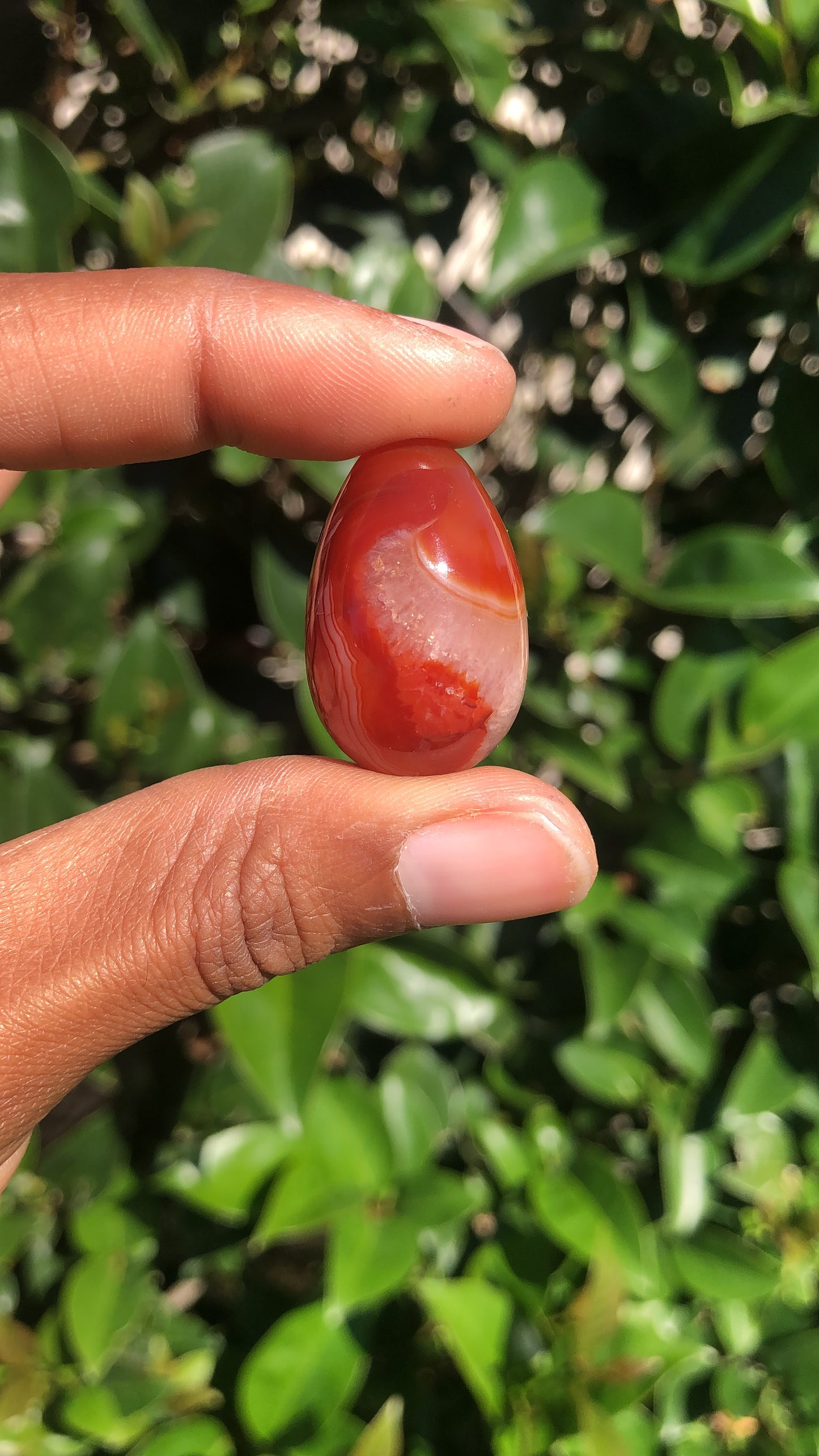 Mini Carnelian Eggs