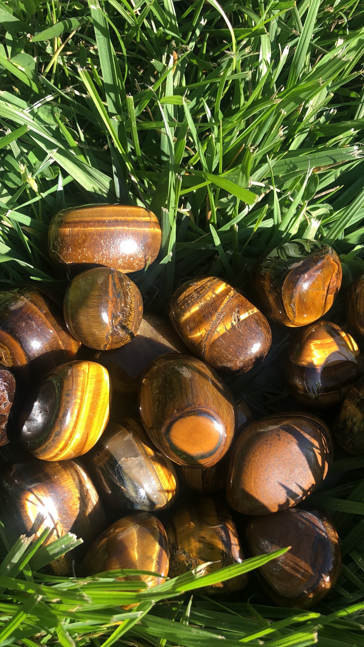 Tigers Eye Tumble