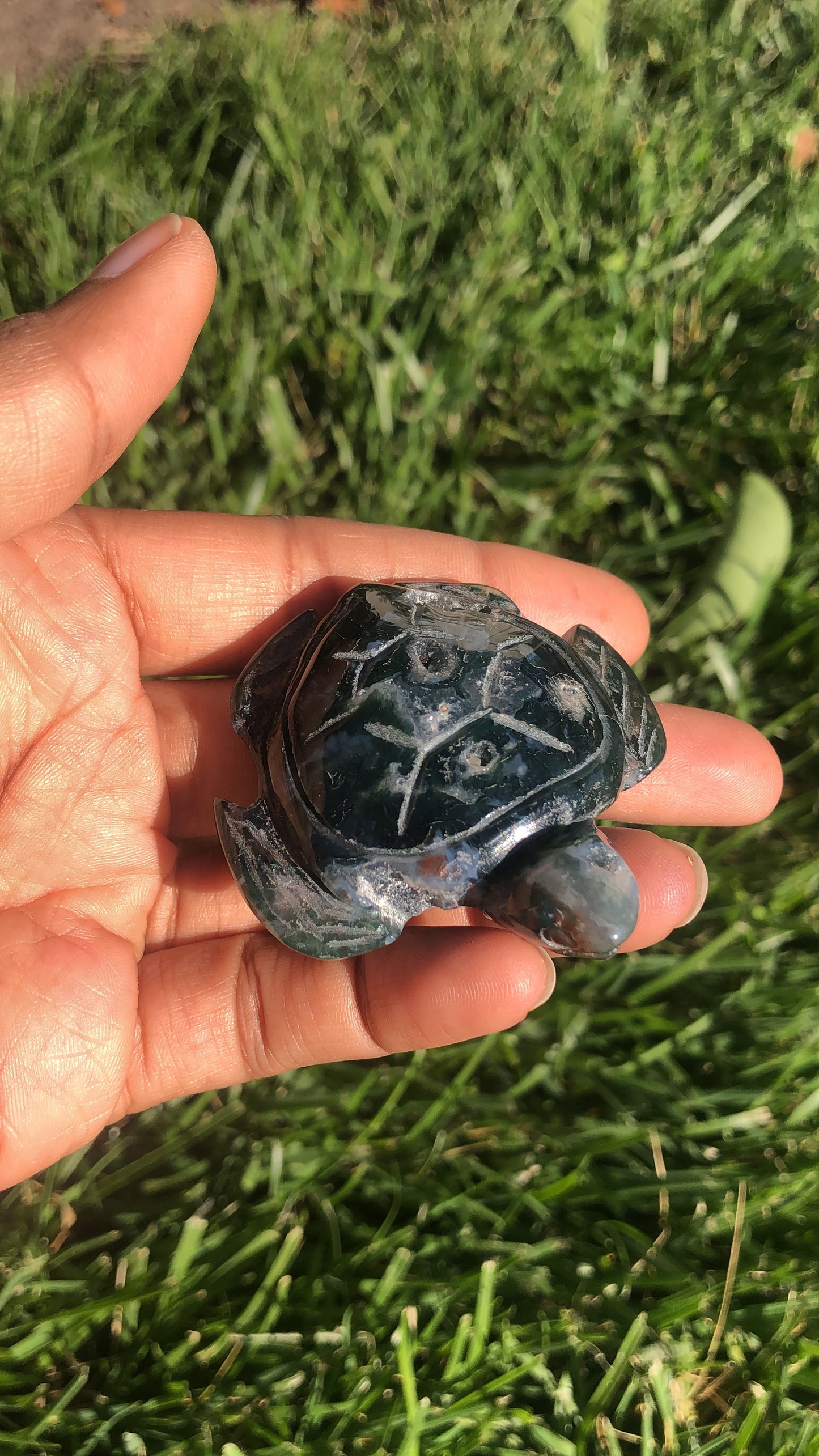 Moss Agate Turtle