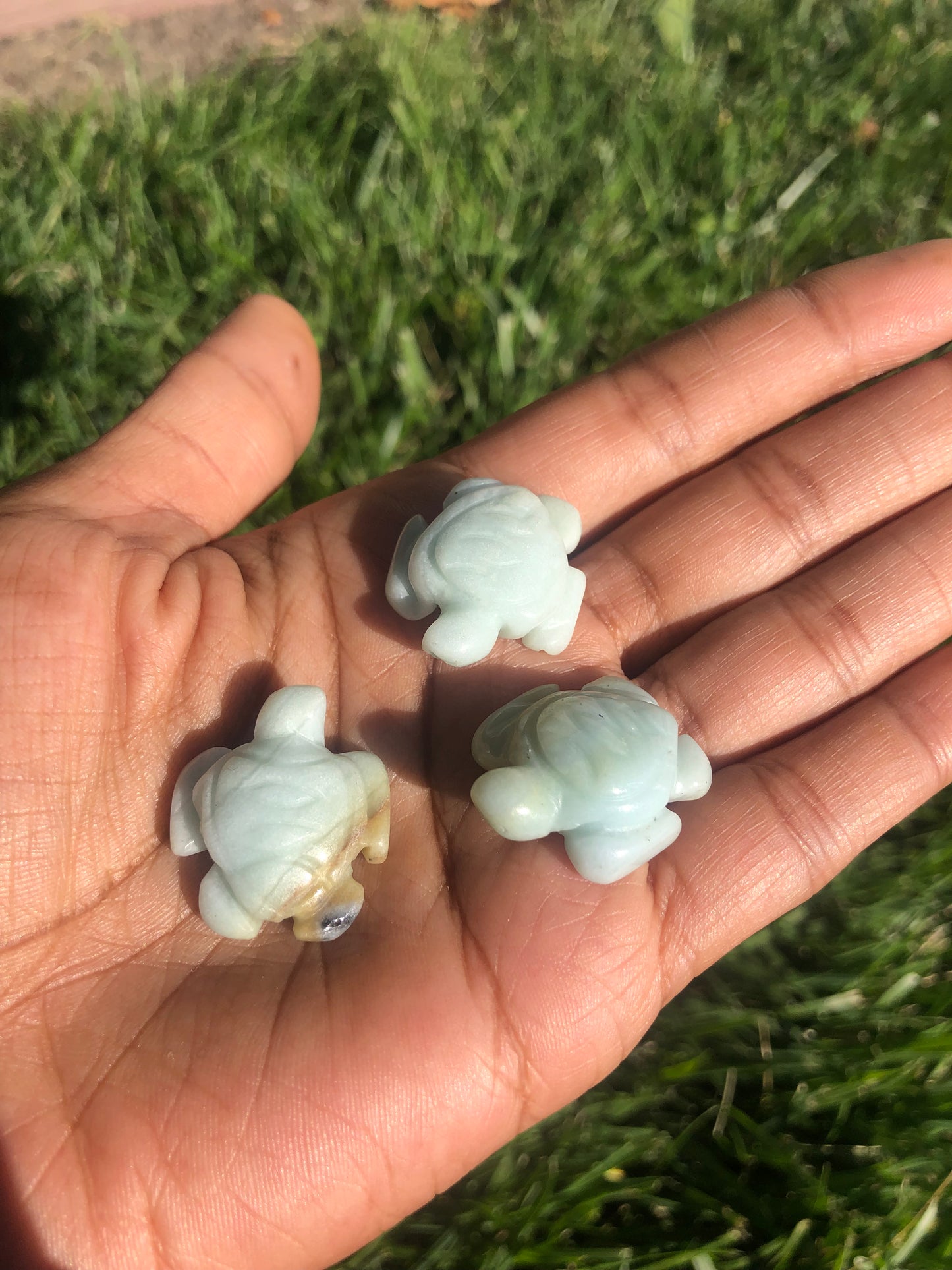 Mini Aragonite Turtles