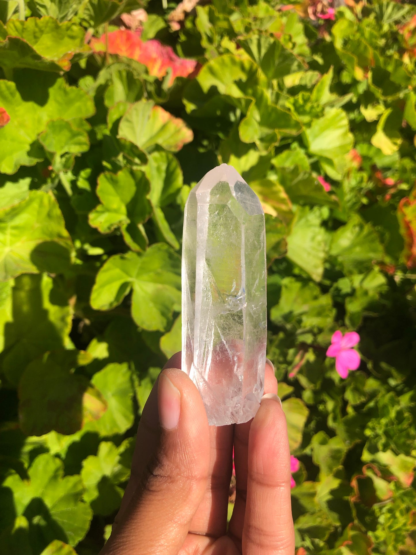 Lemurian Quartz