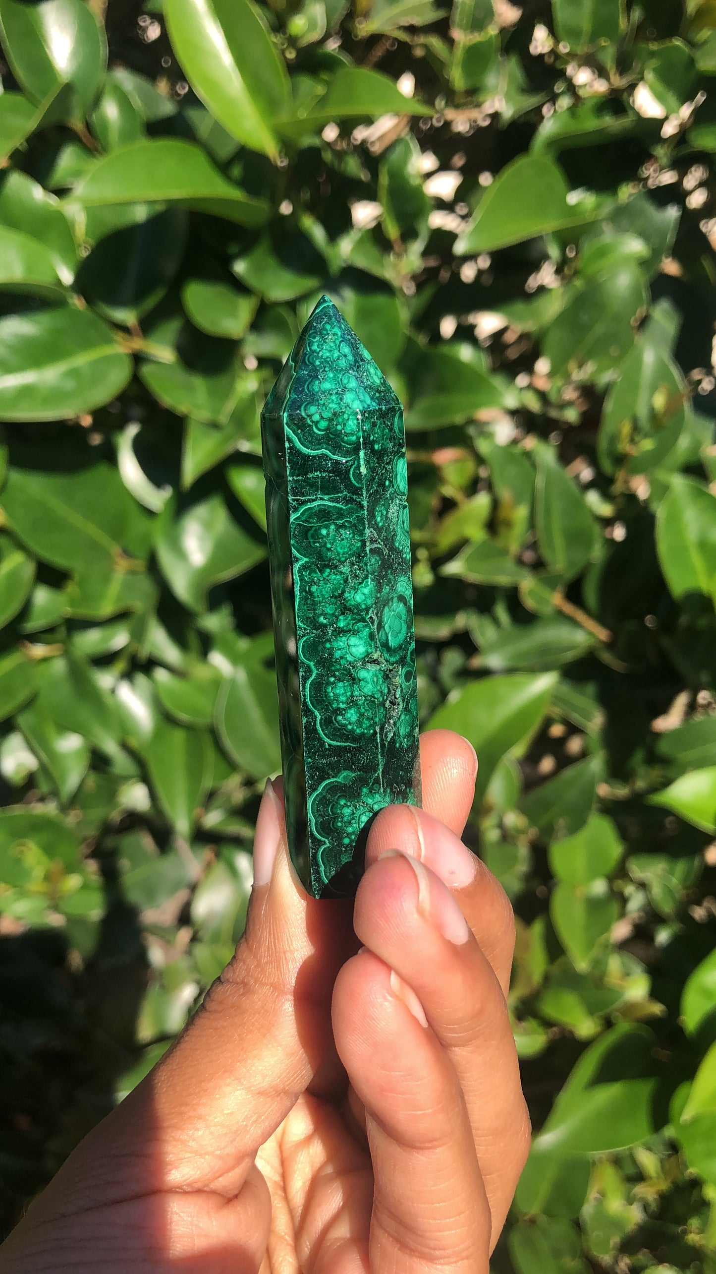 Malachite Towers