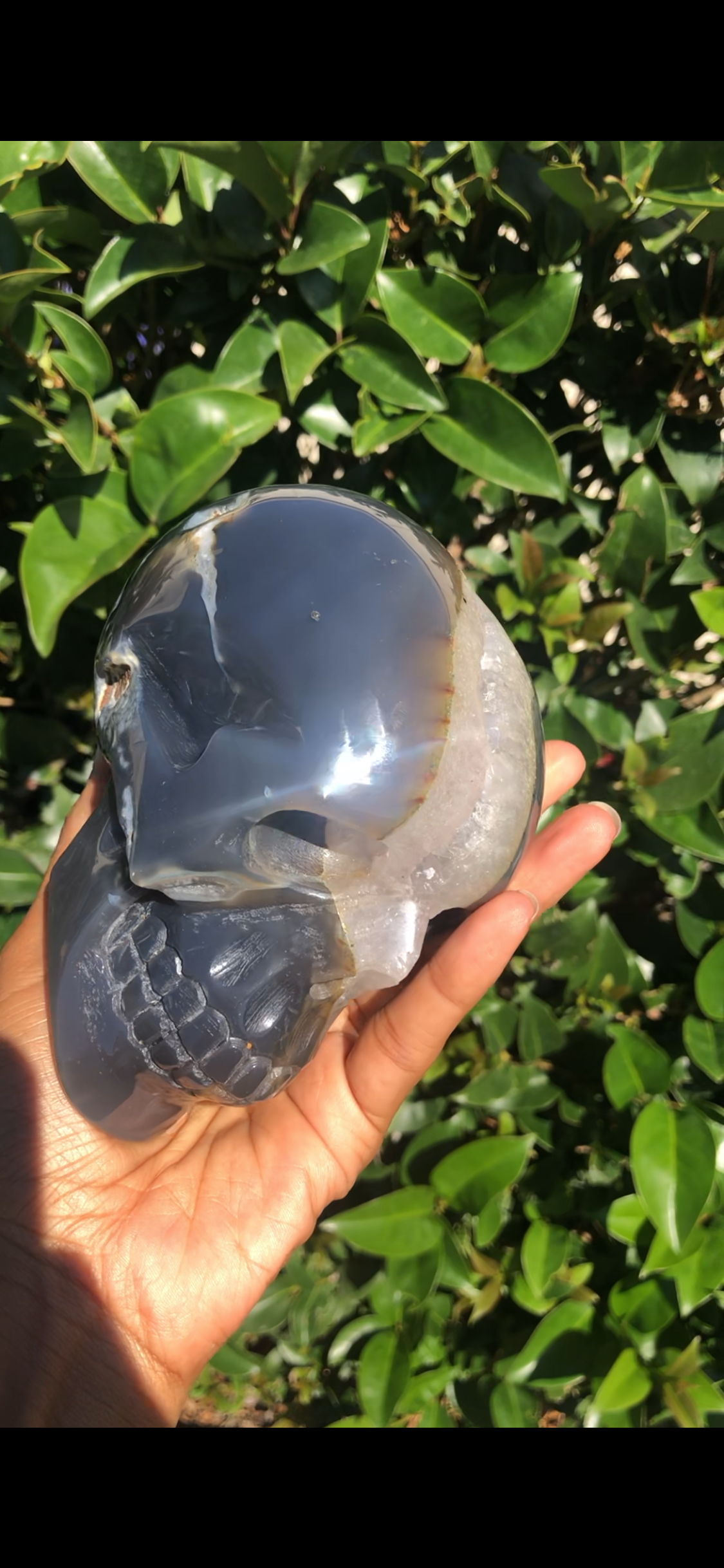 Agate x Amethyst Druzy Skull