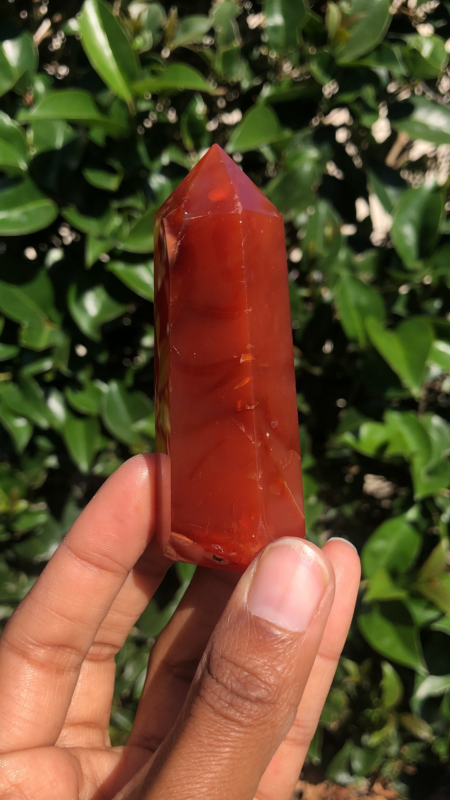 Carnelian Towers