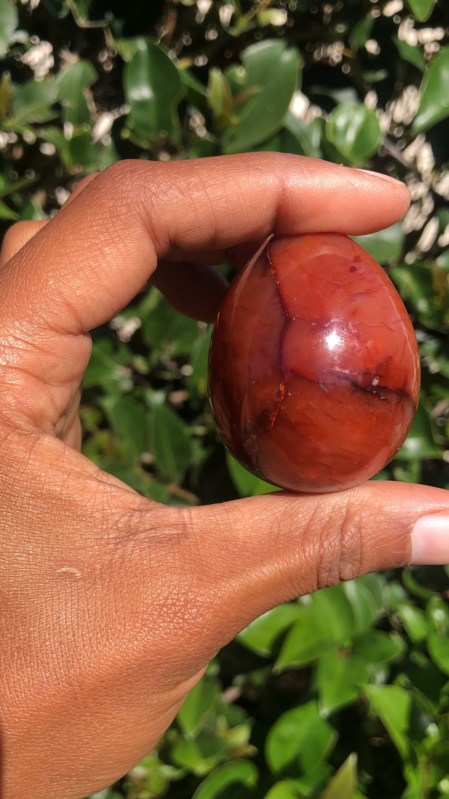 Carnelian Egg
