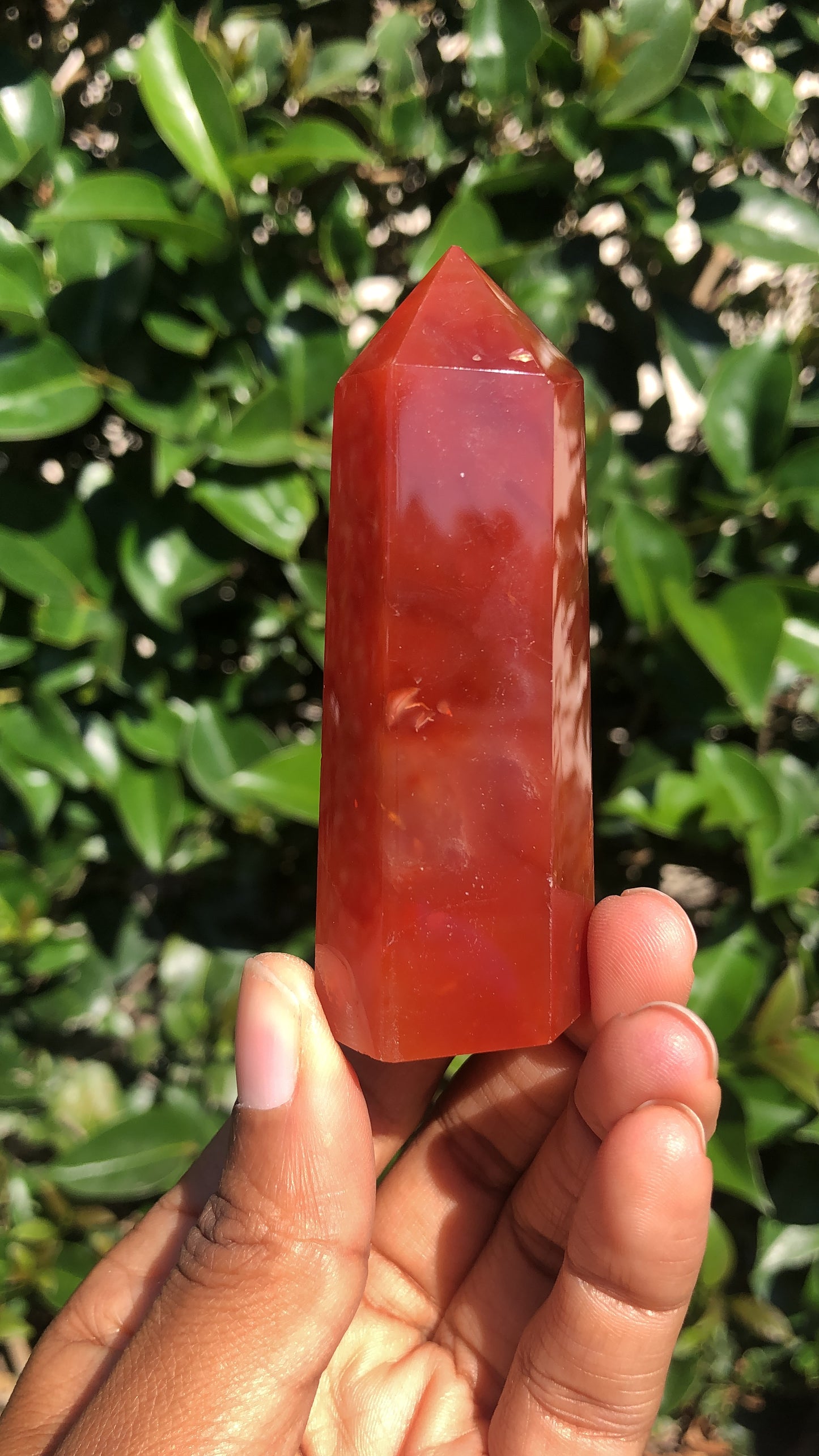 Carnelian Towers