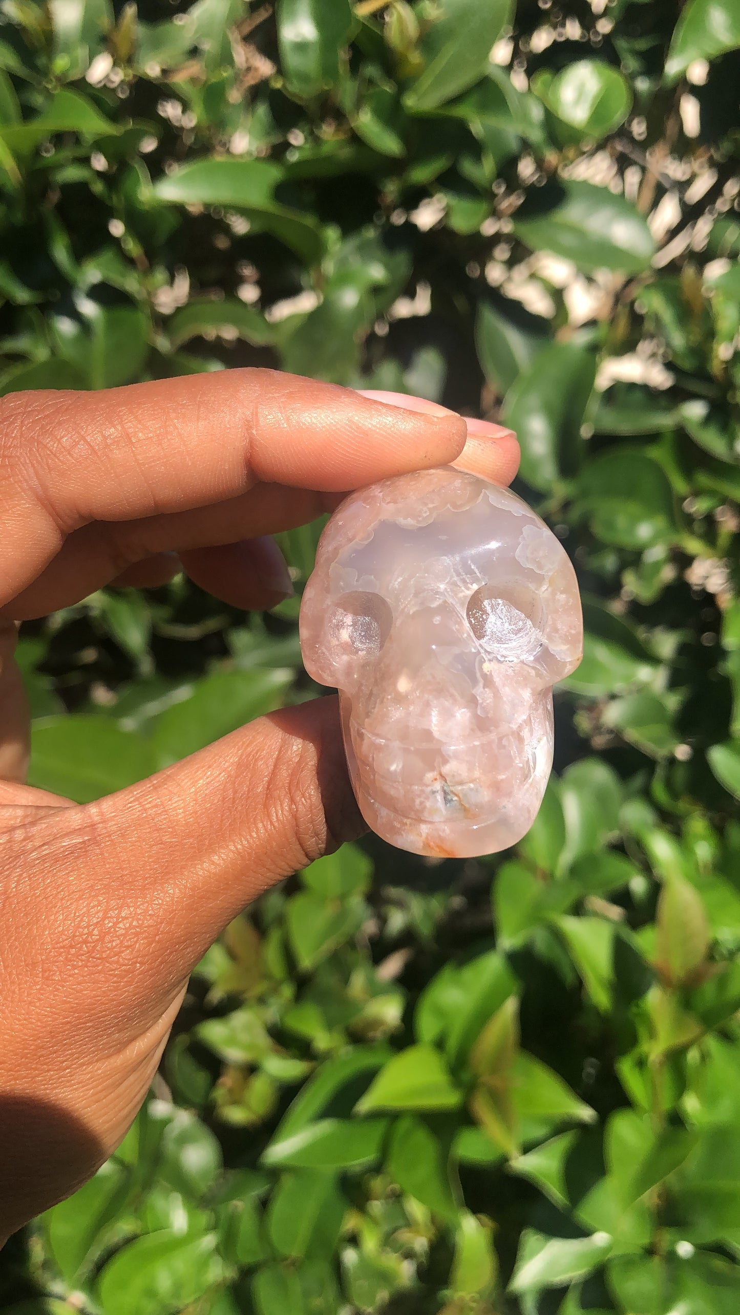 Flower Agate Skull