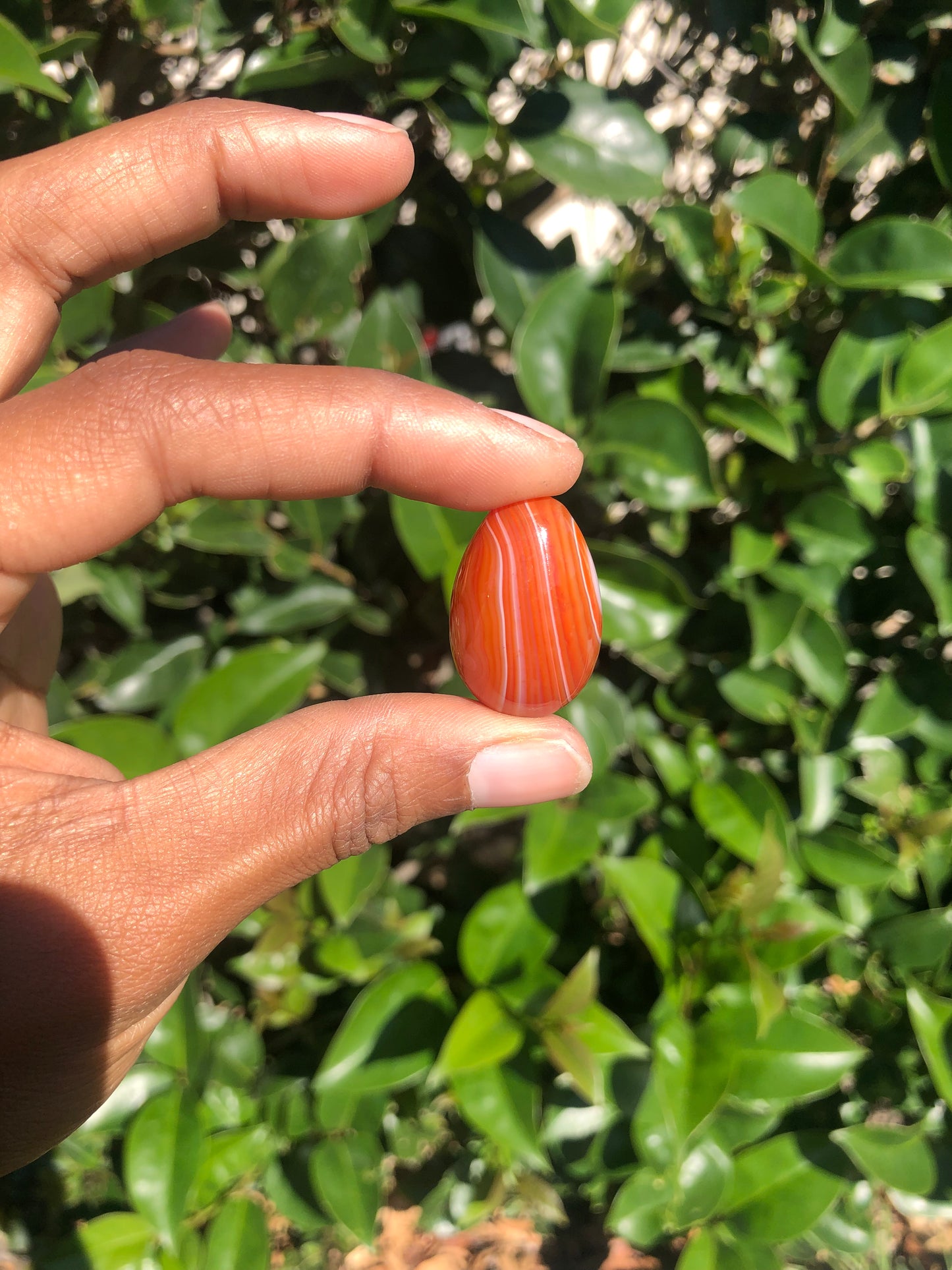 Mini Carnelian Eggs