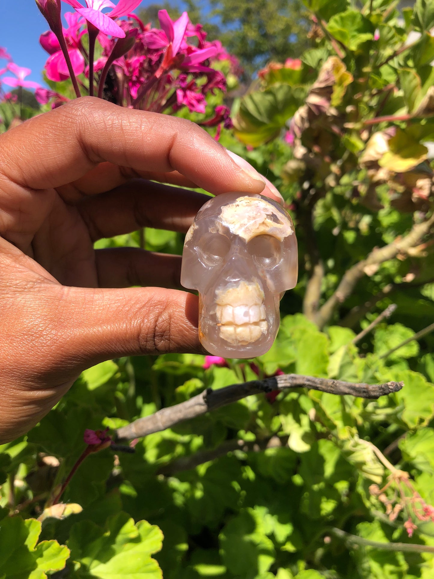 Flower Agate Skull
