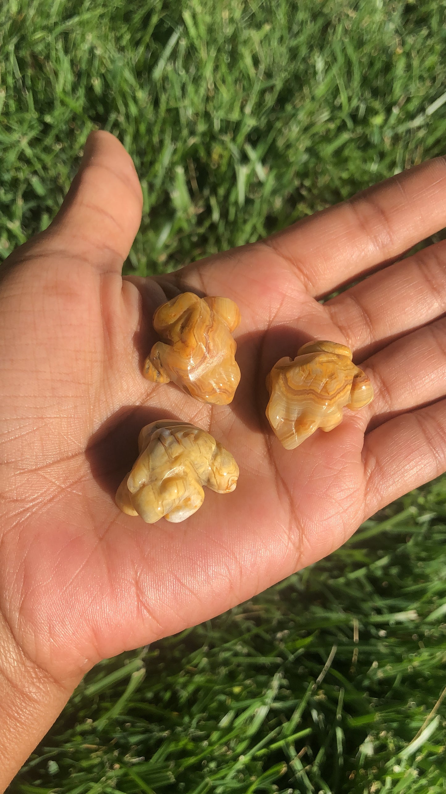 Mini Frogs