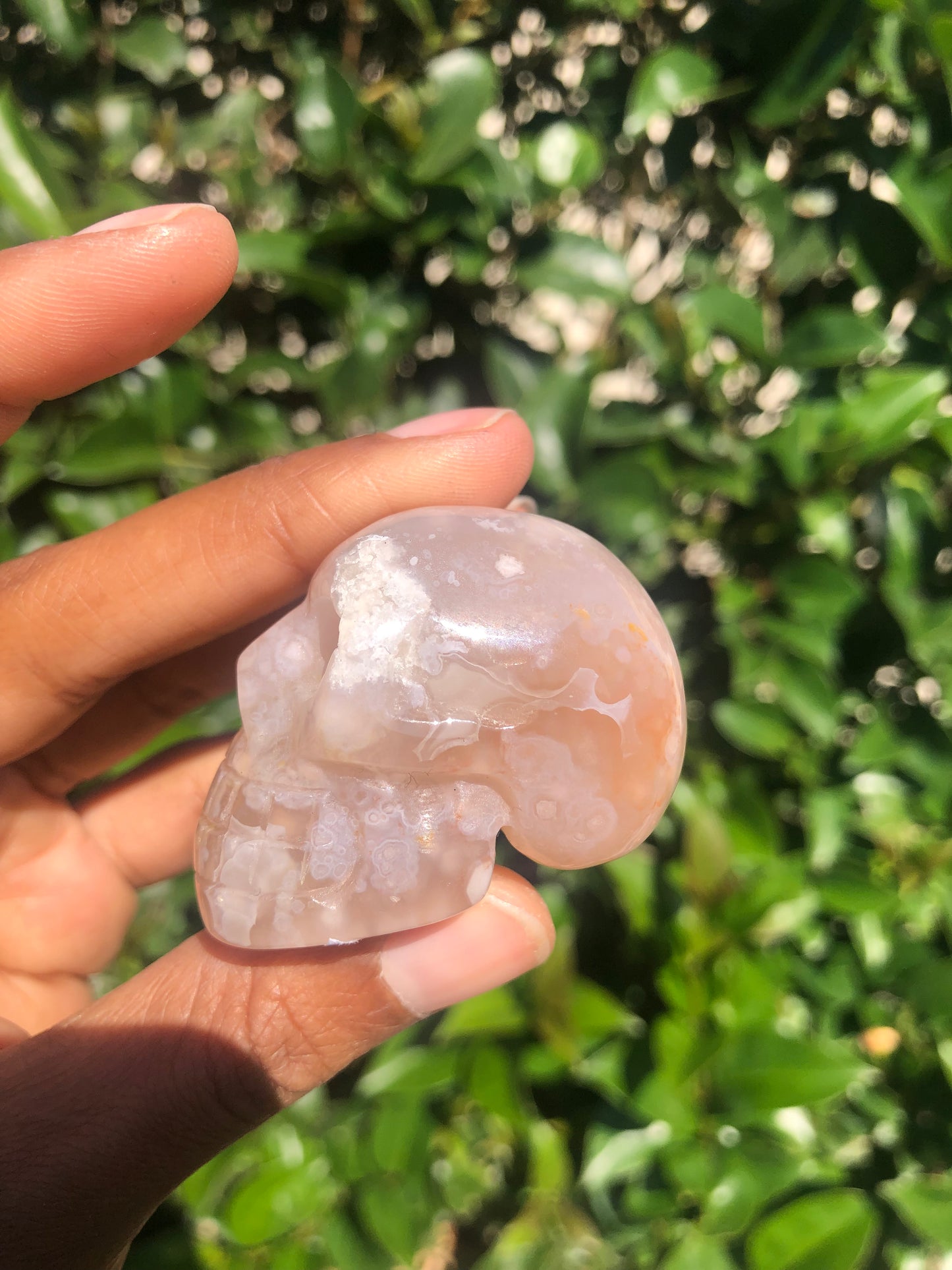 Flower Agate Skull