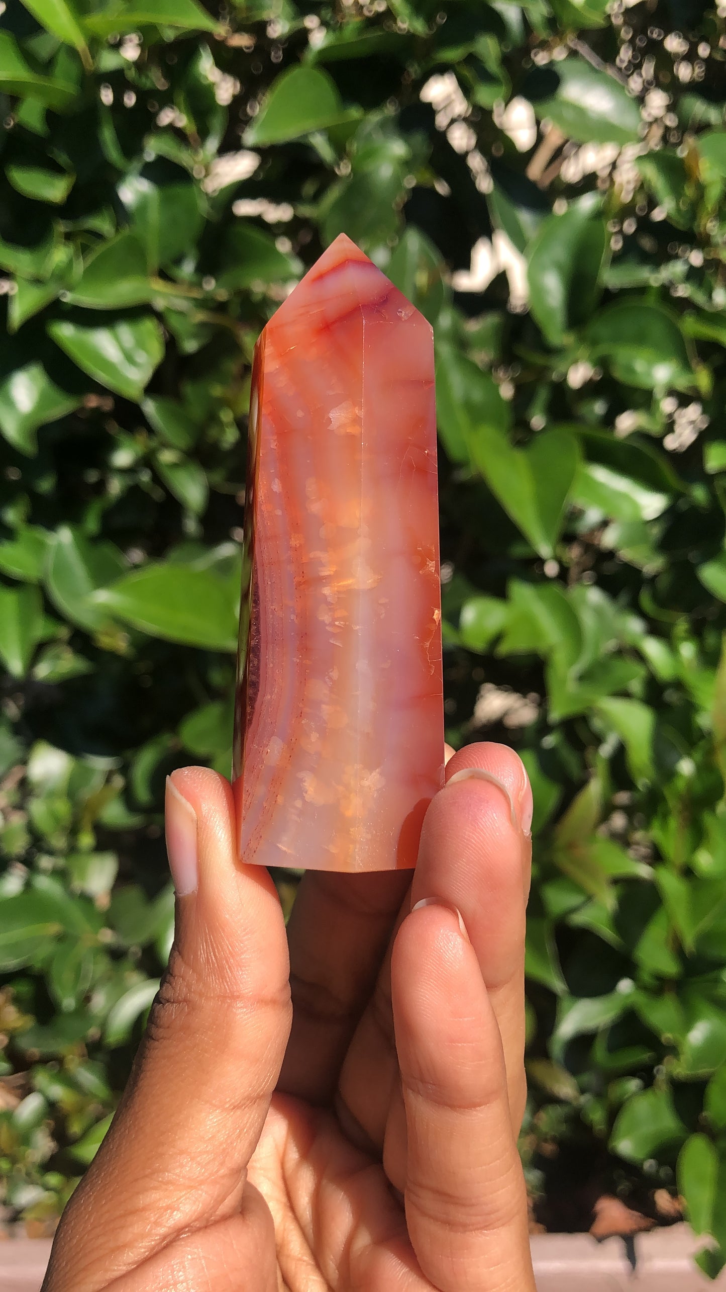 Carnelian Towers