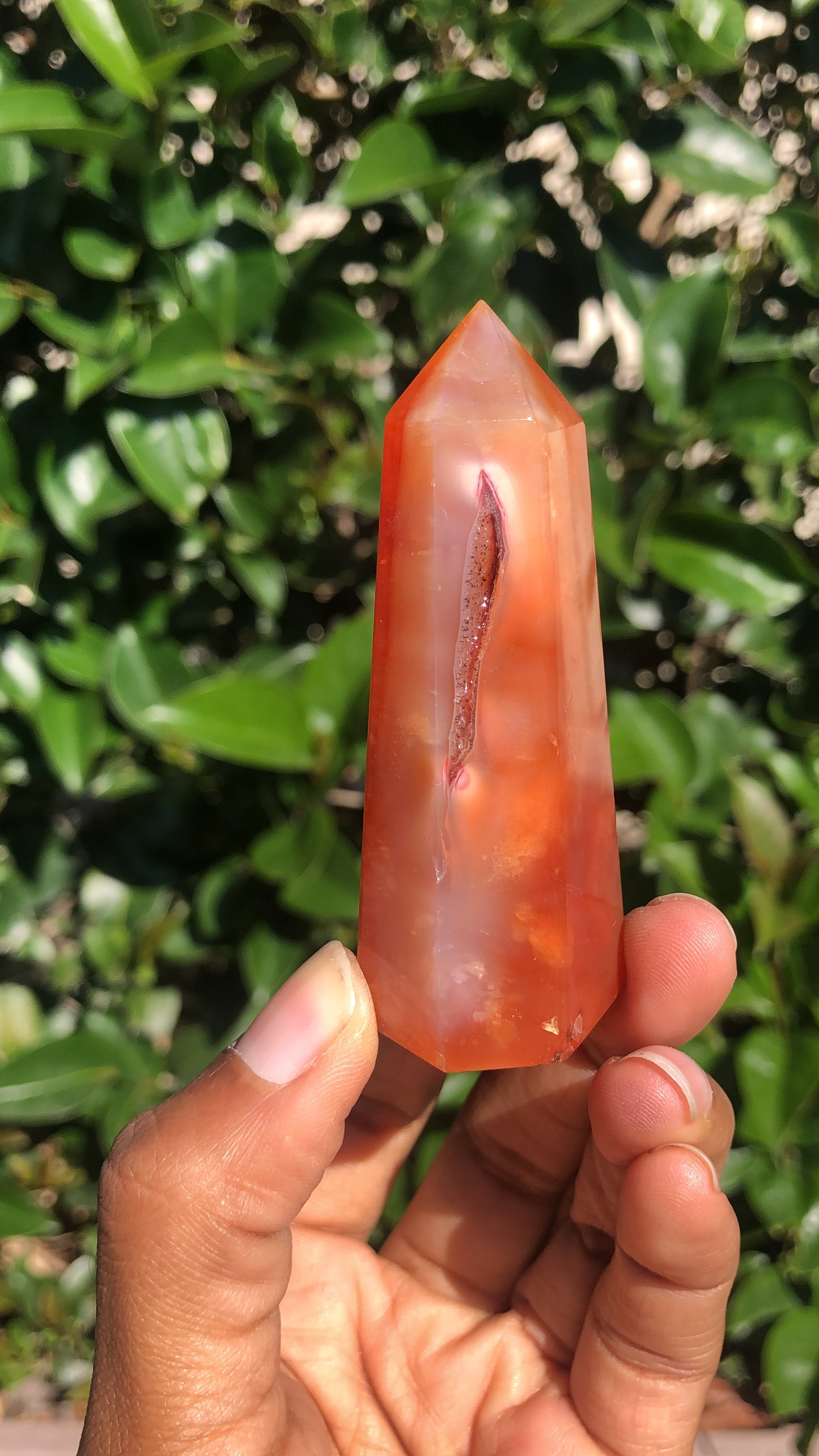 Carnelian Towers