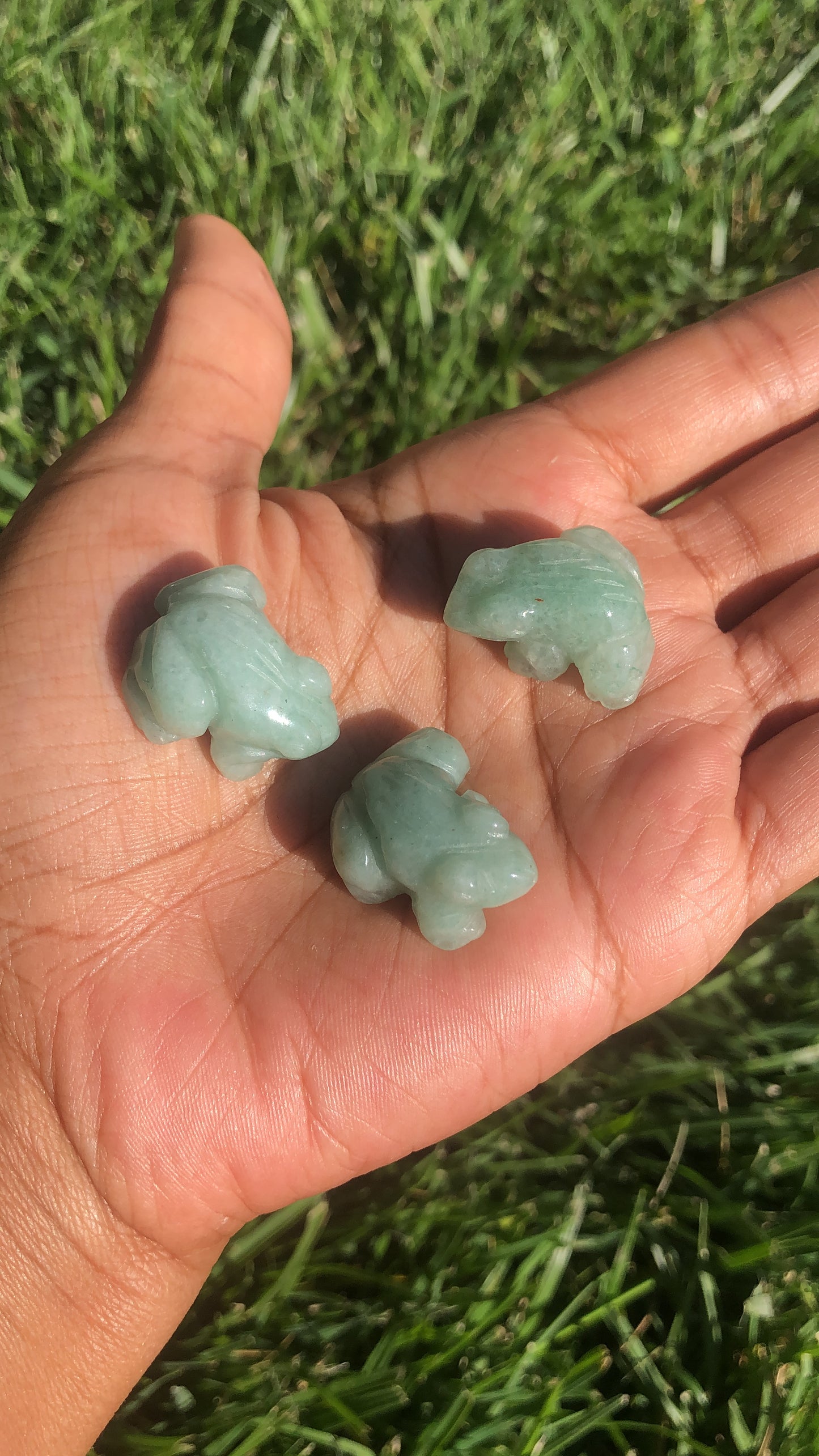 Mini Frogs