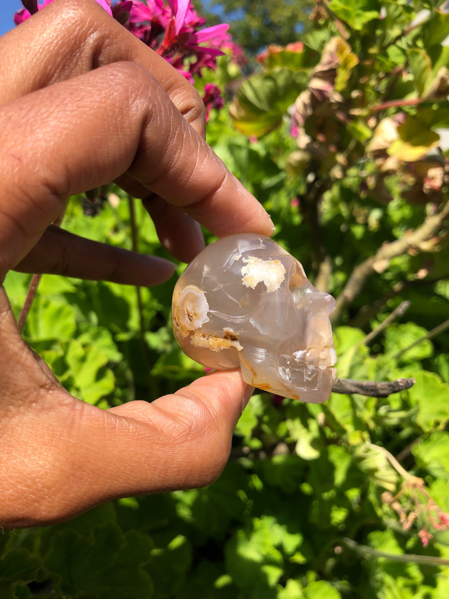 Flower Agate Skull