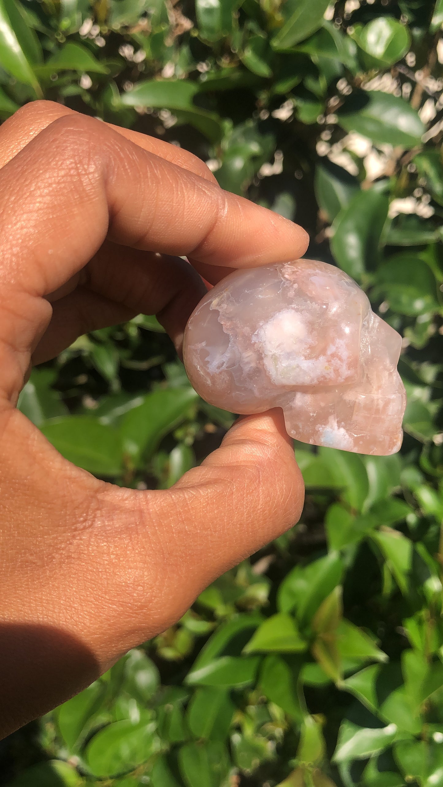 Flower Agate Skull