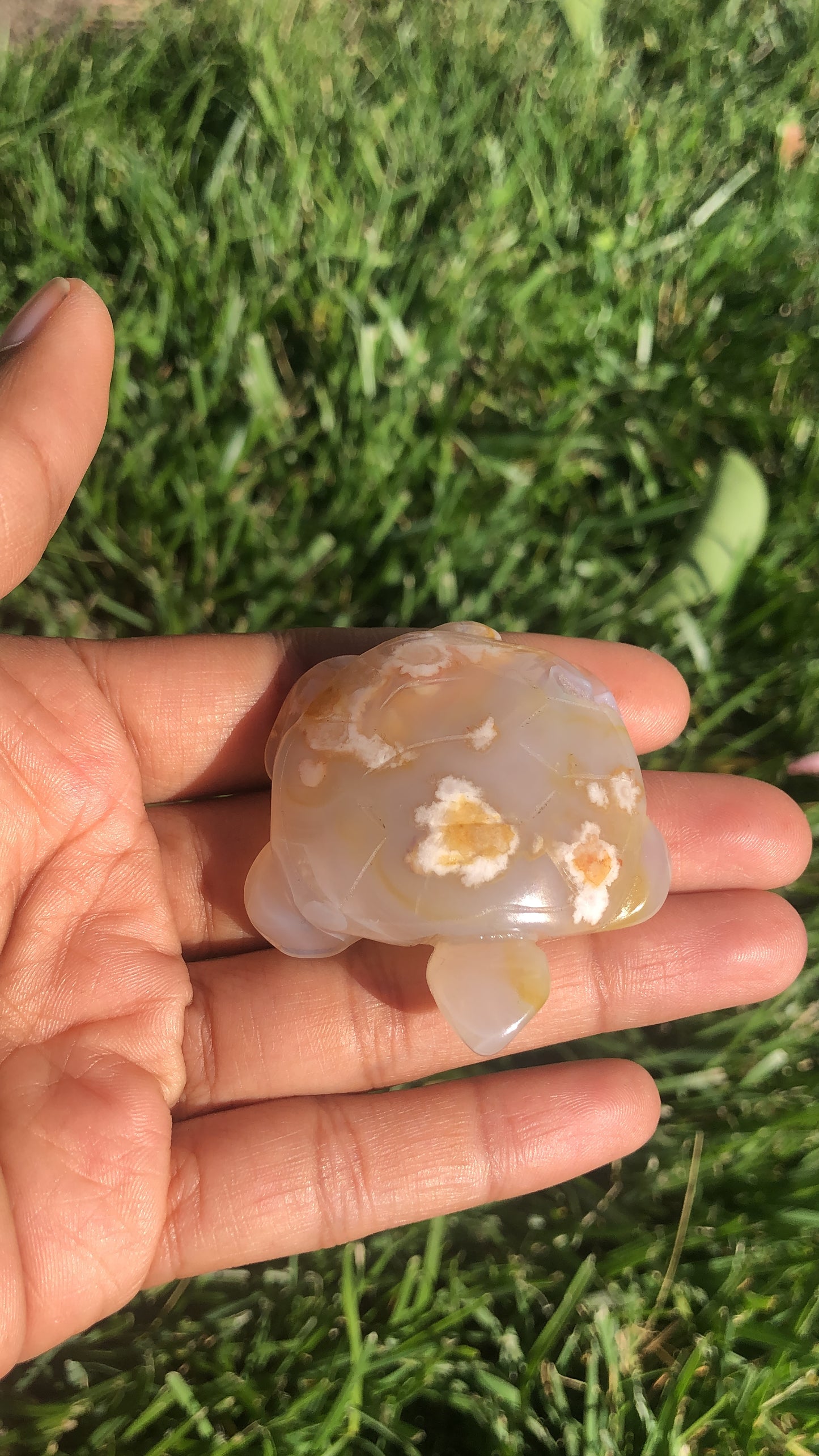 Flower Agate Turtle