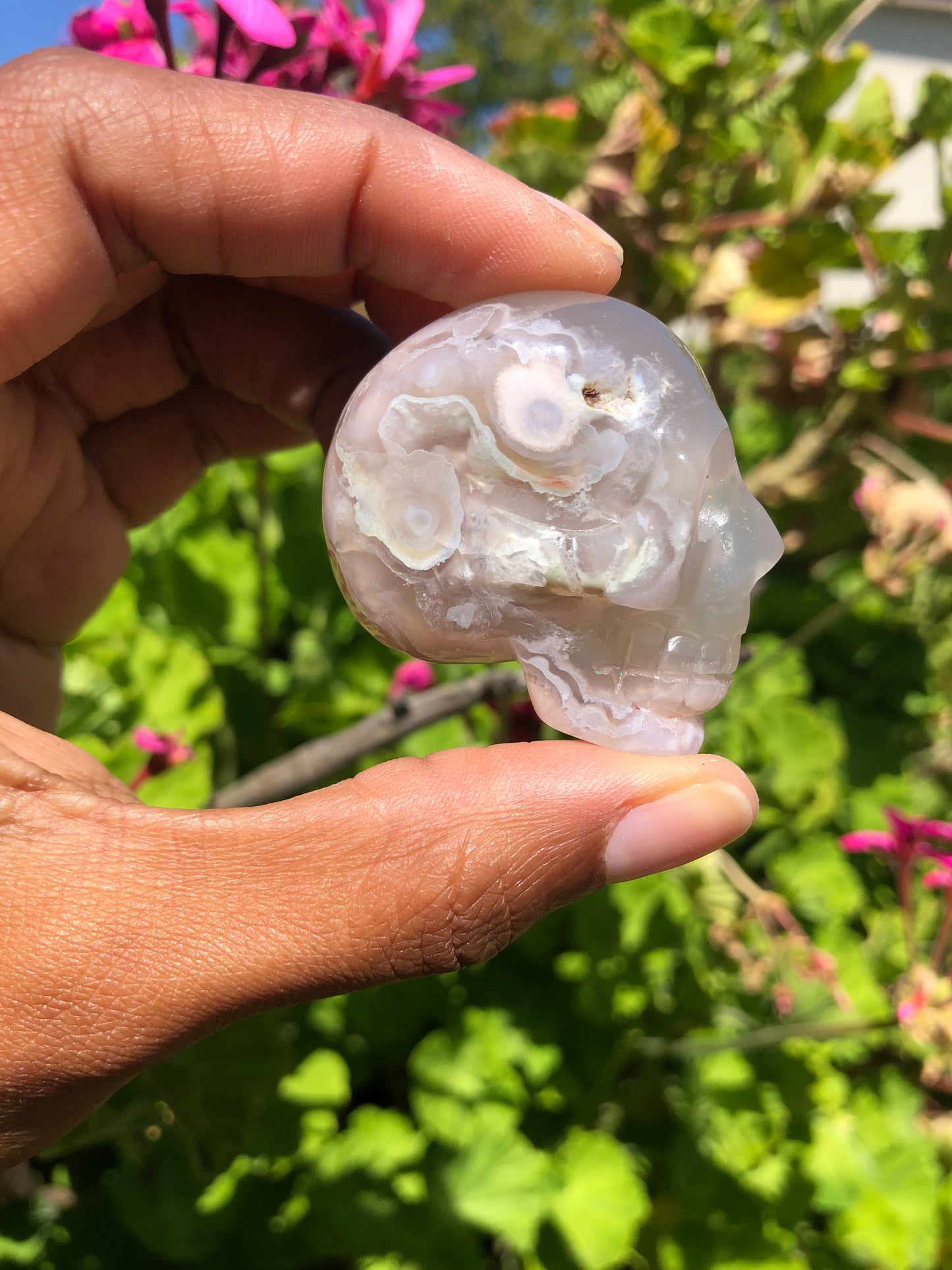 Flower Agate Skull