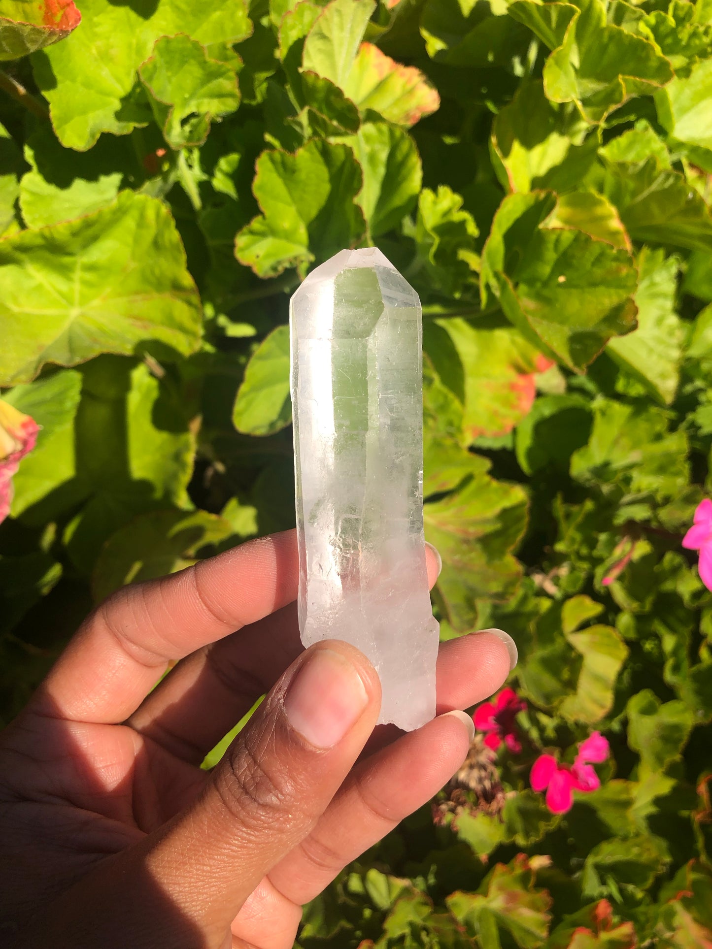 Lemurian Quartz