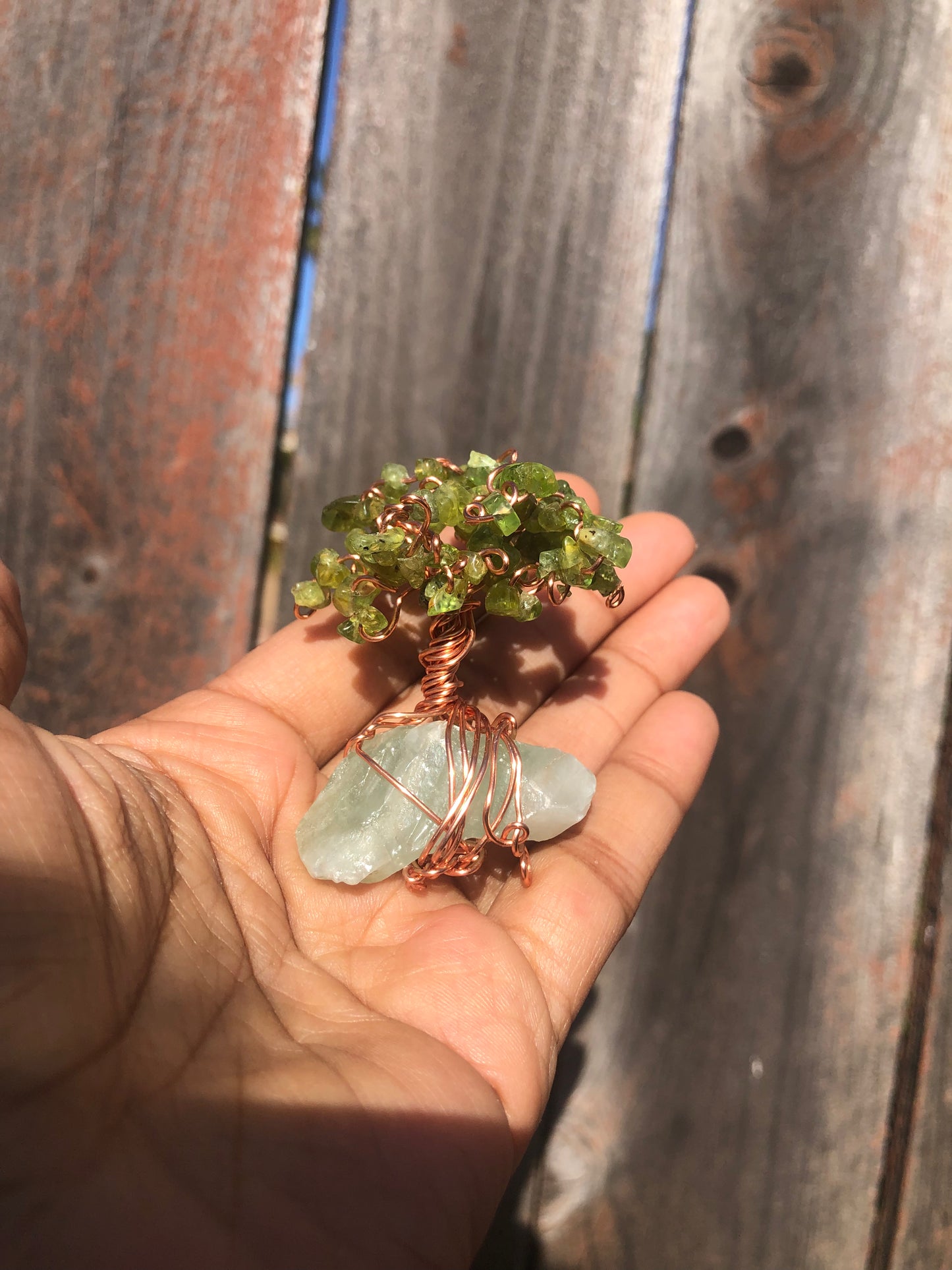 Money Tree