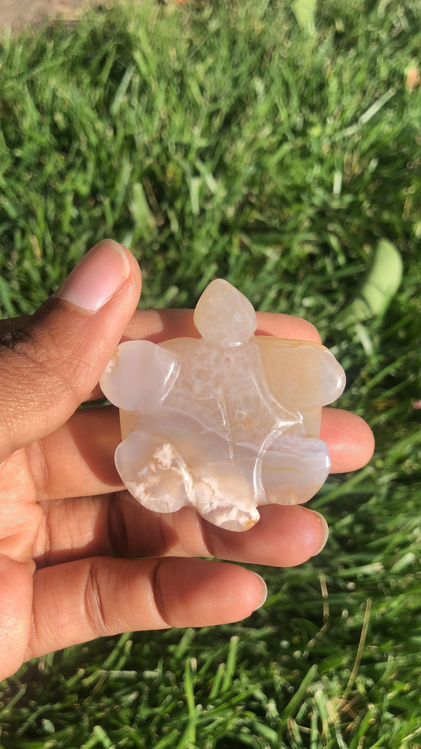 Flower Agate Turtle