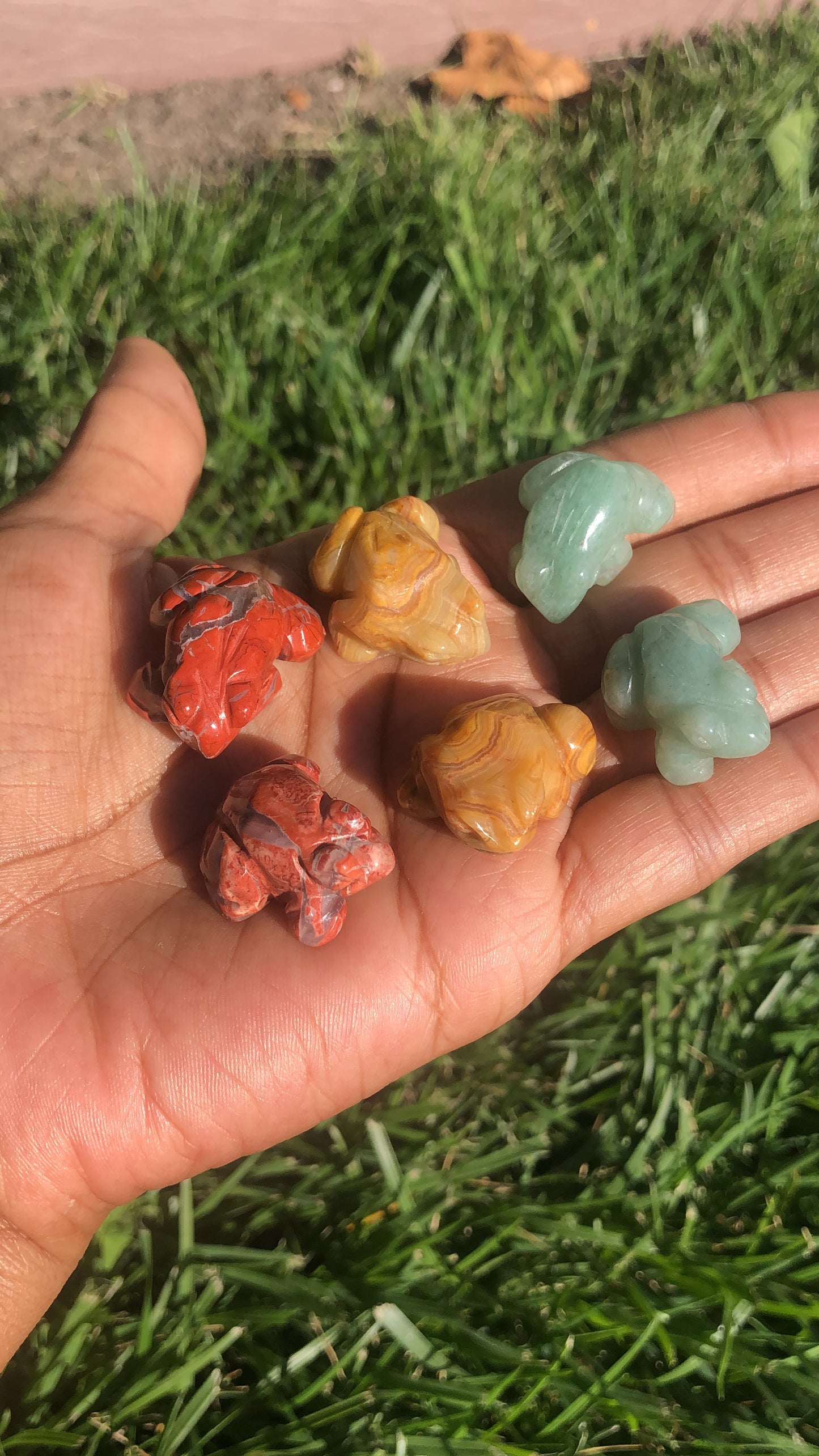 Mini Frogs