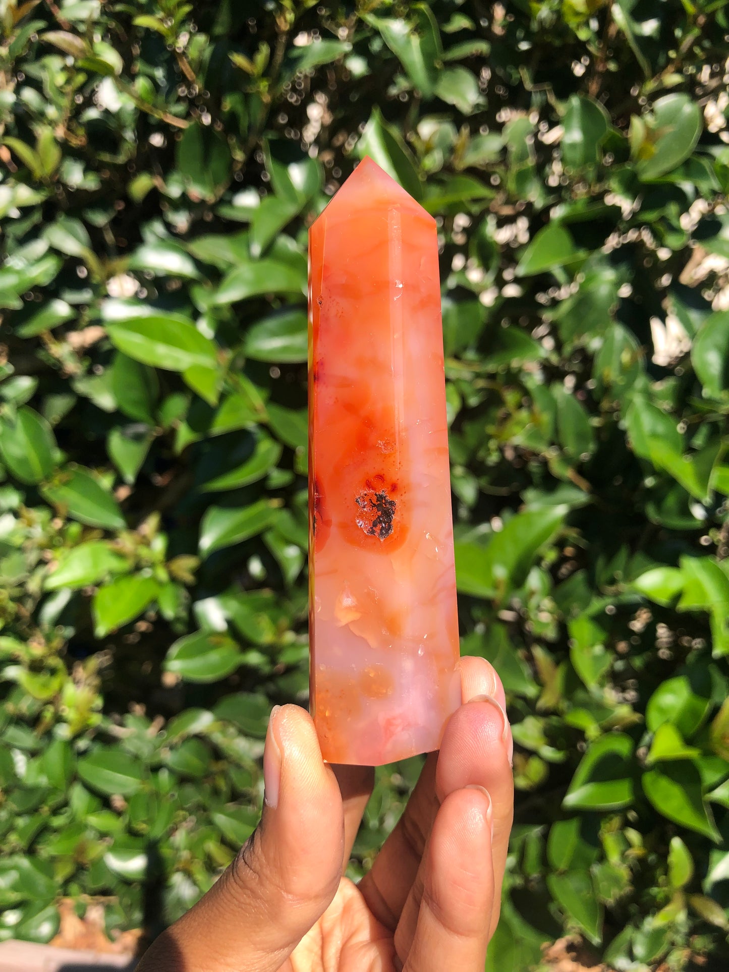 Carnelian Towers